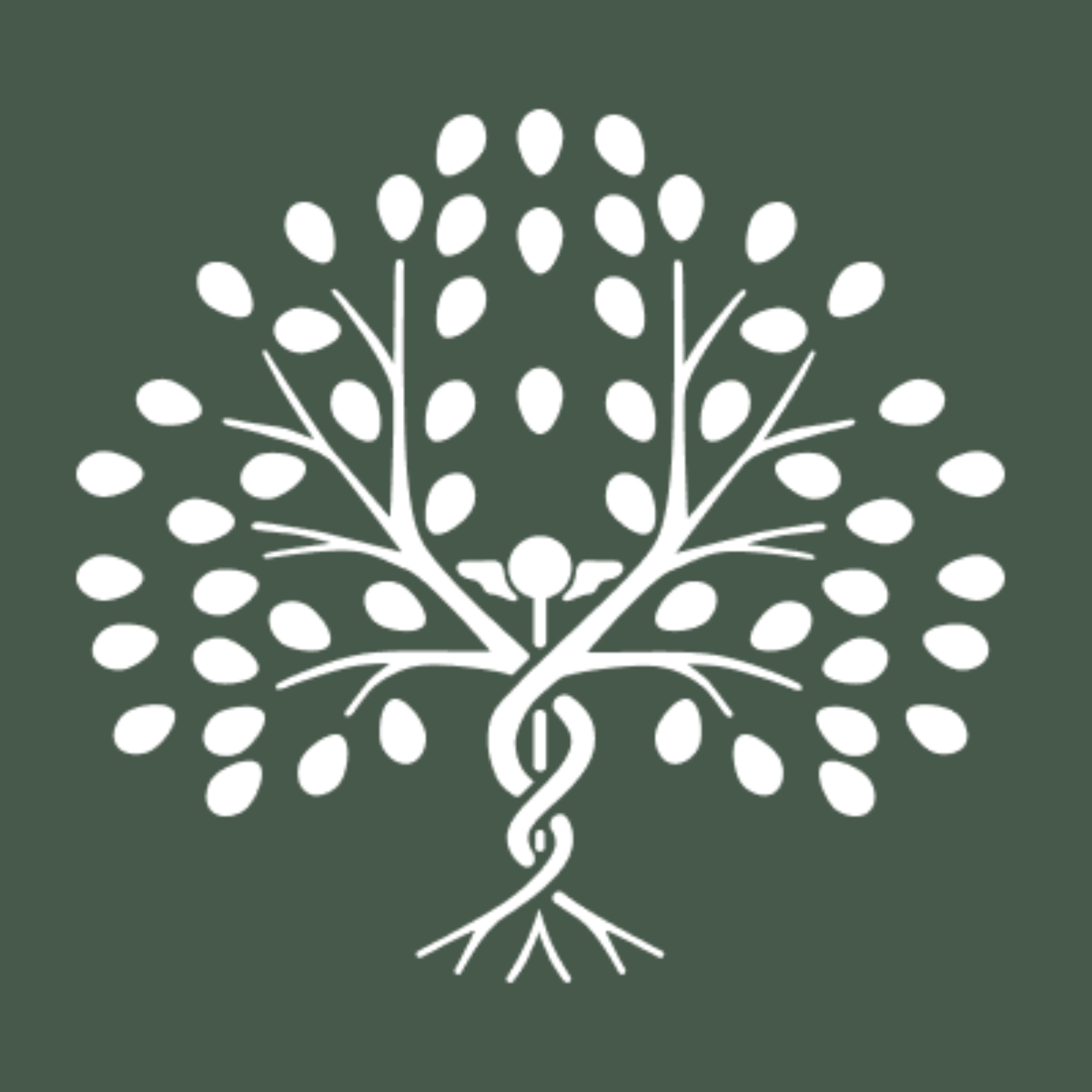 Mindshift with Dr. Tala Andoni podcast artwork