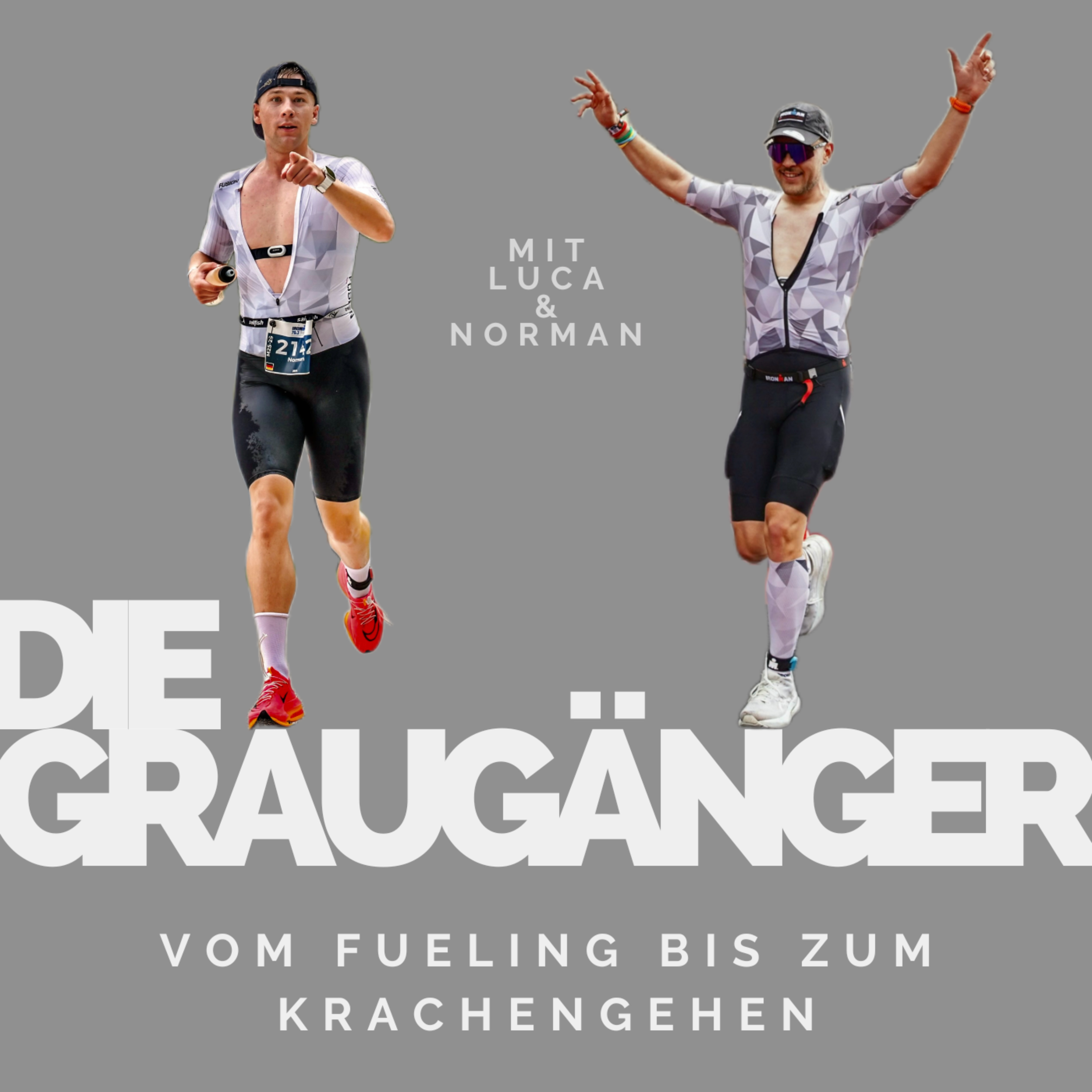 Die Graugänger