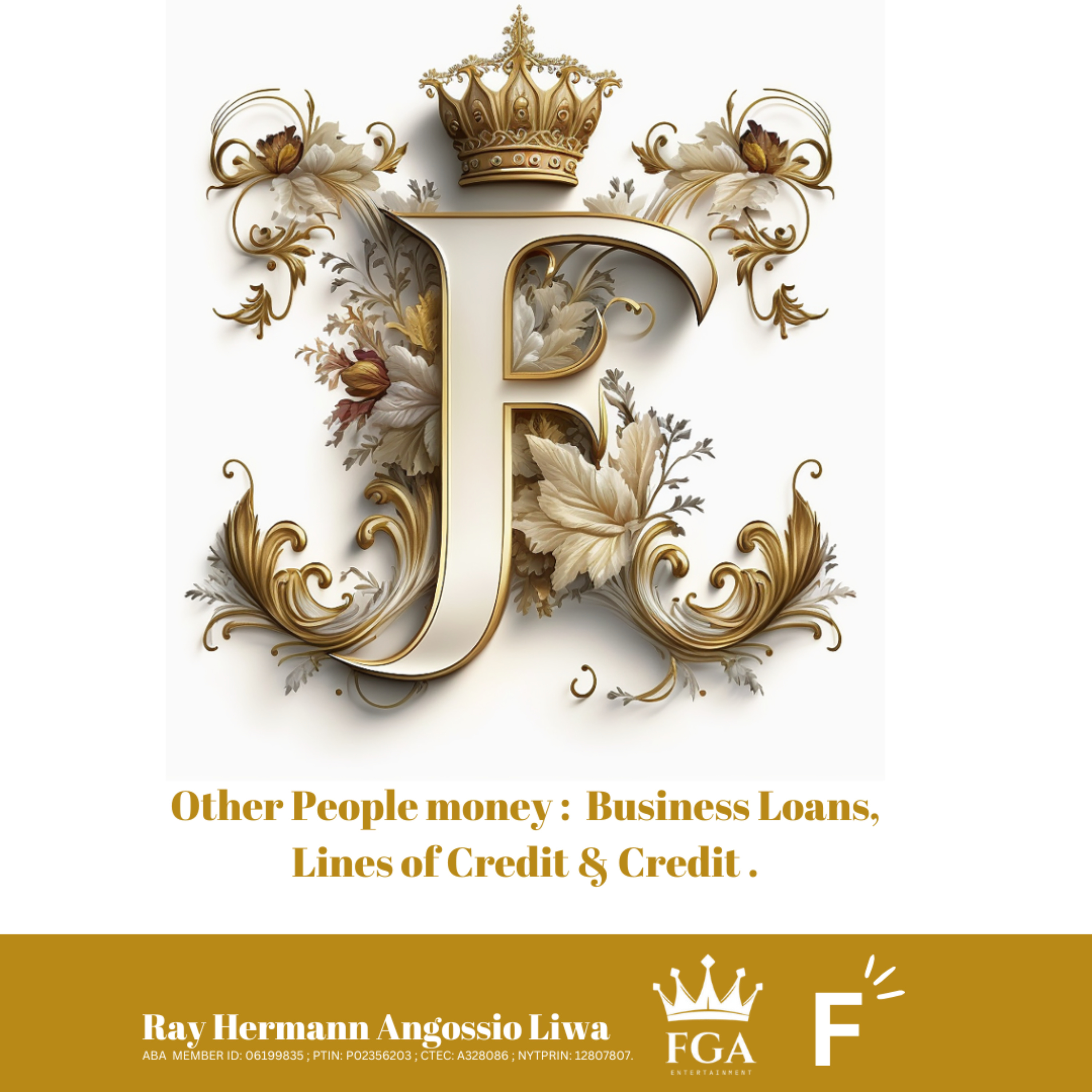 Other People's money : Business Loans, Lines of Credit & Credit Card. podcast artwork