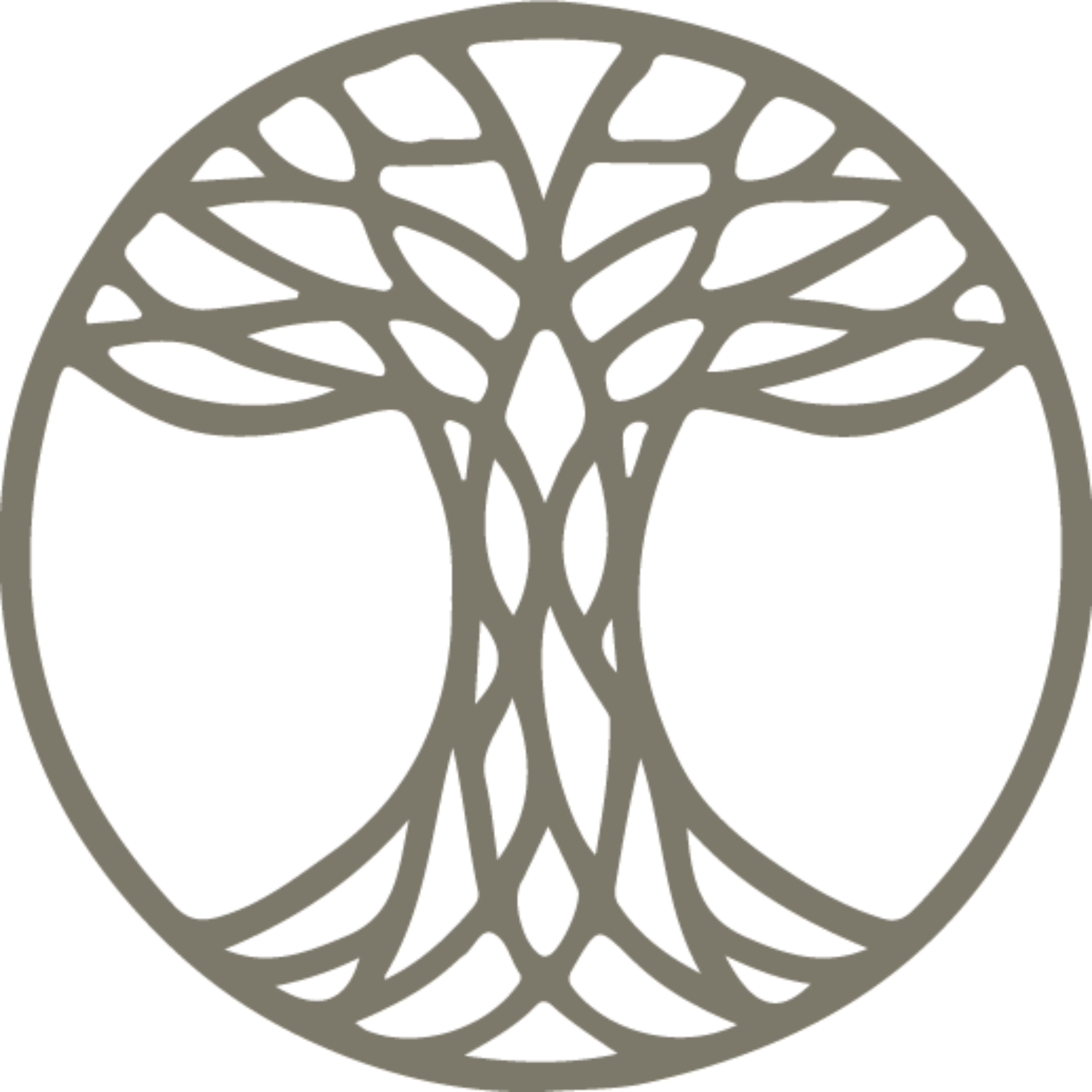 Roots and Values