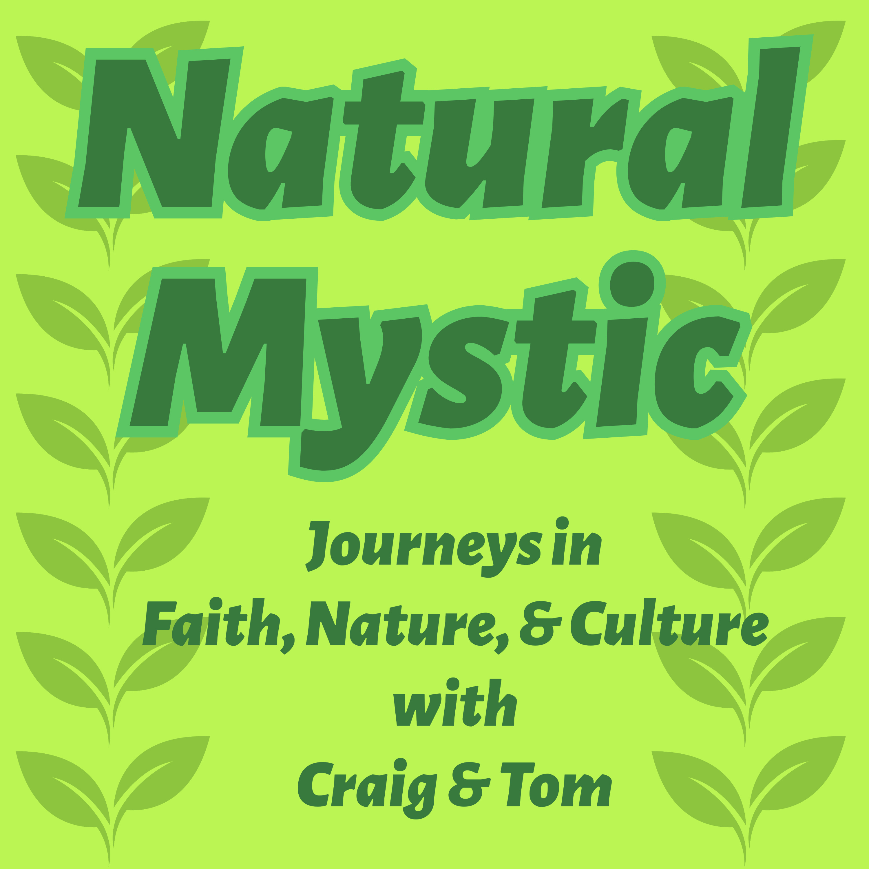 Natural Mystic podcast artwork