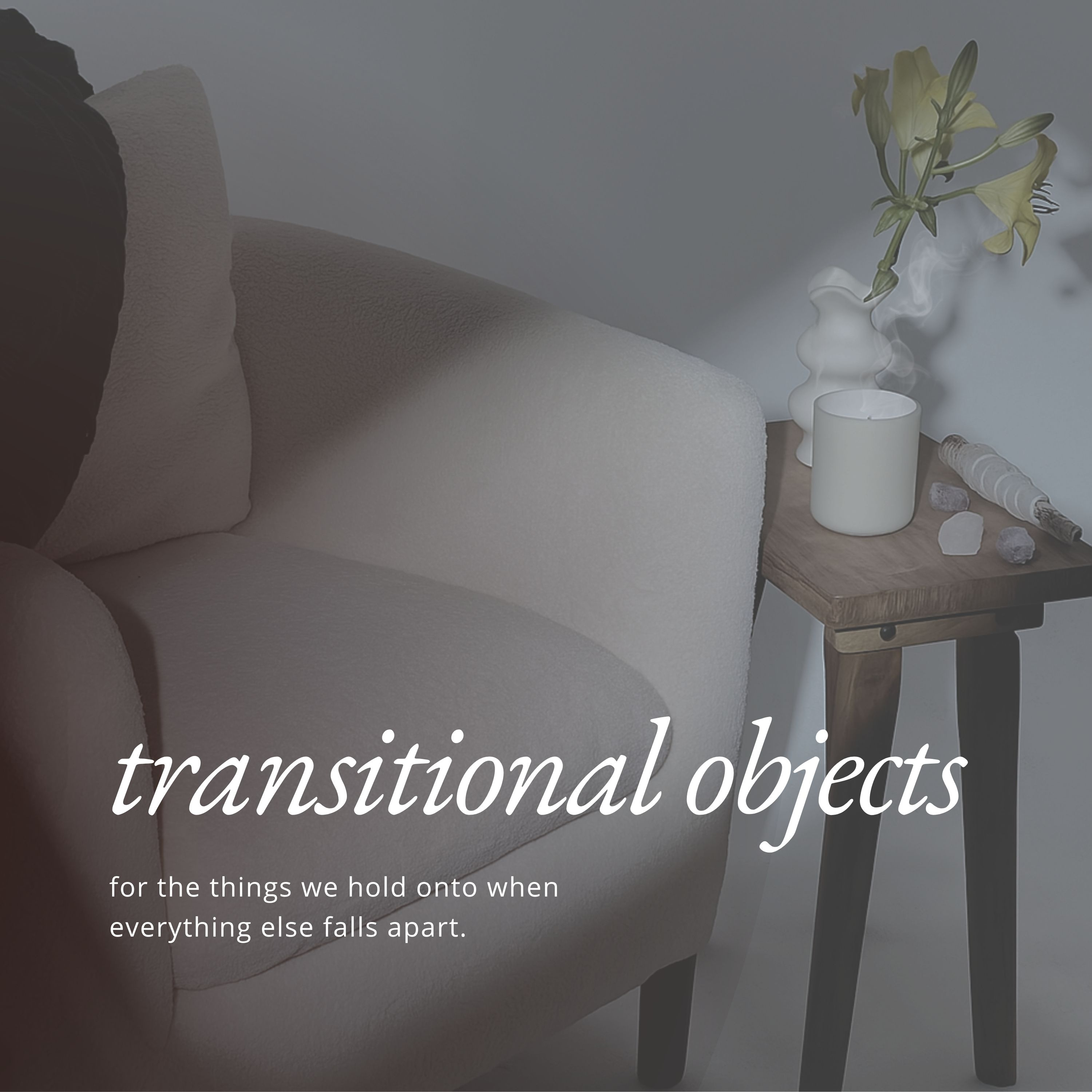 Transitional Objects