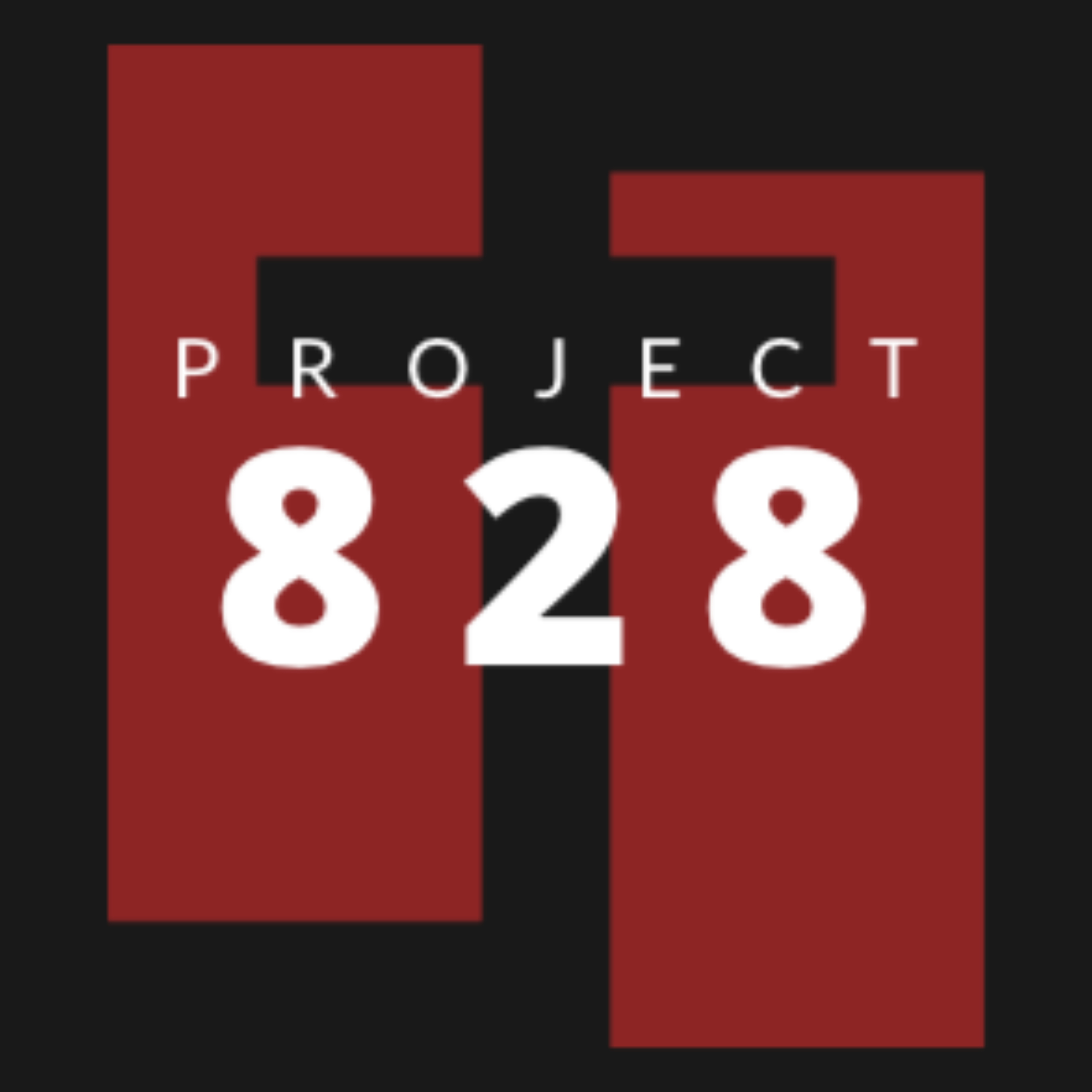 Project 828