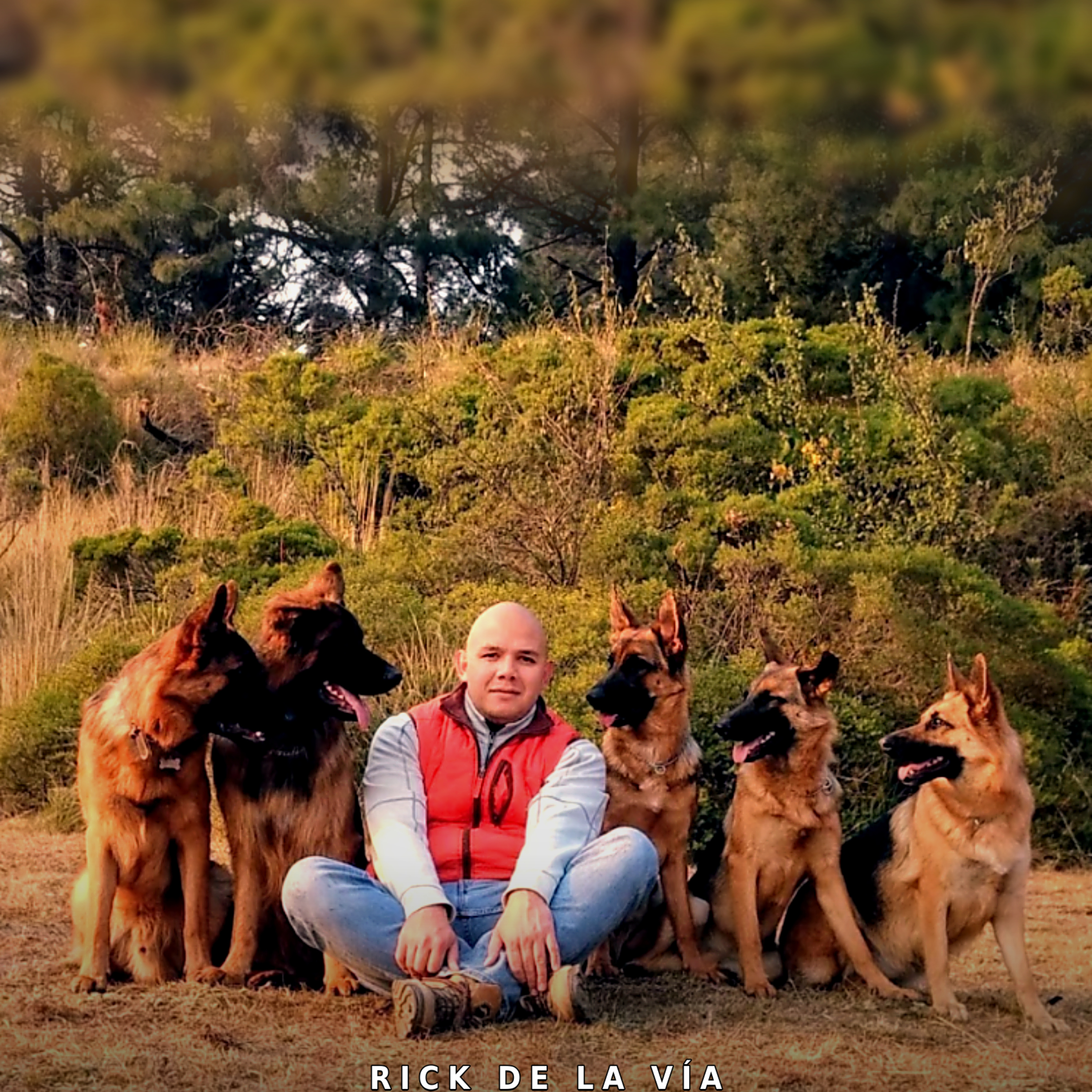 Ecos de mi Manada: Libros y Huellas