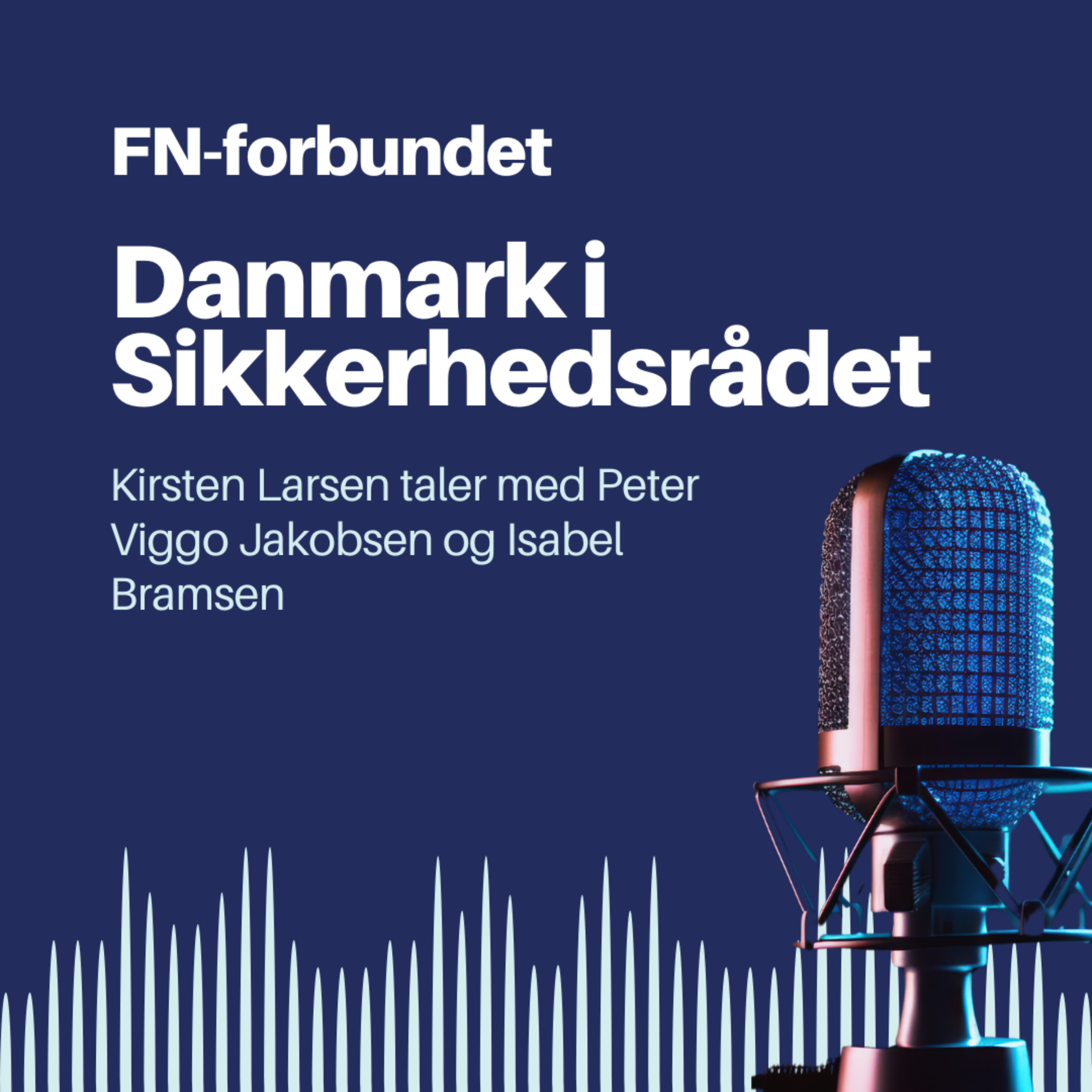 Danmark i Sikkerhedsrådet af FN-forbundet
