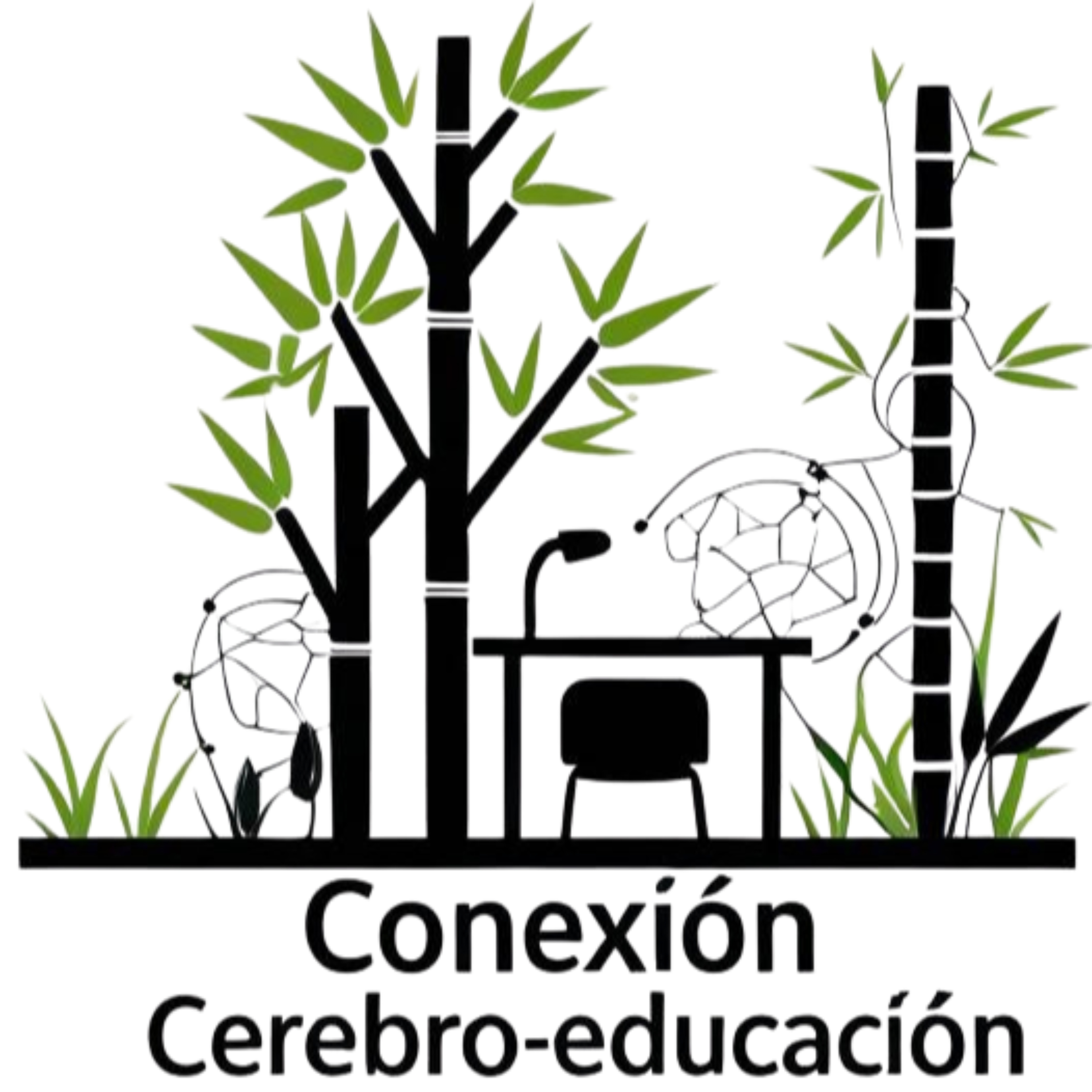 Conexión Cerebro-Educación