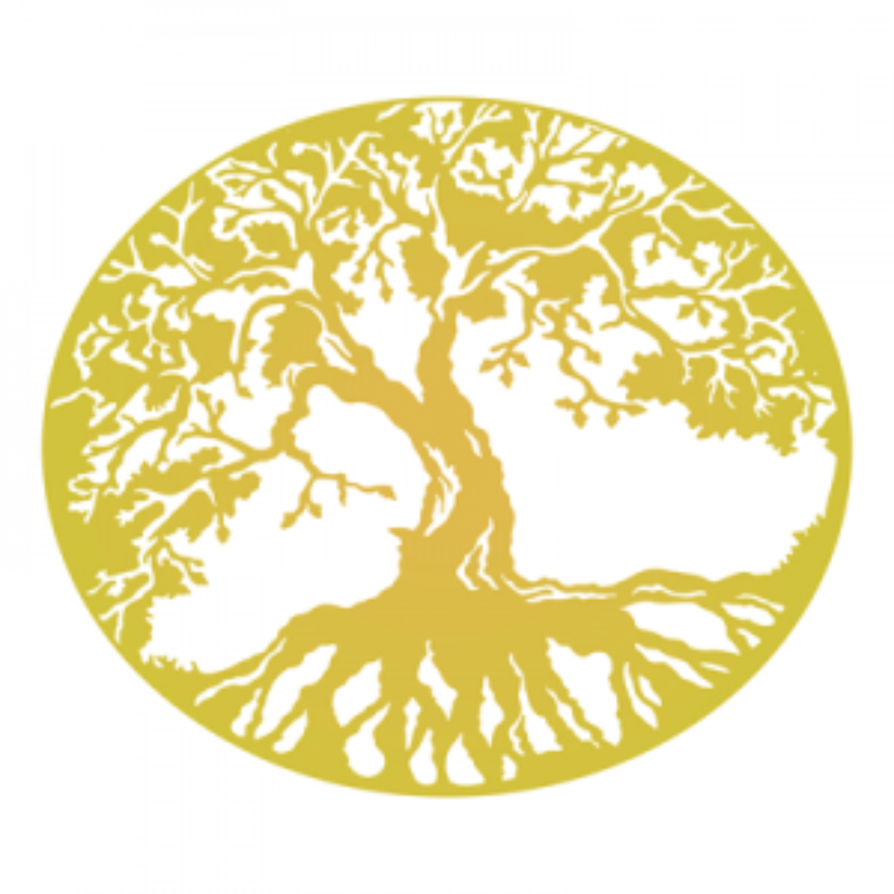 Soul Maps – Vedic Astrology podcast artwork