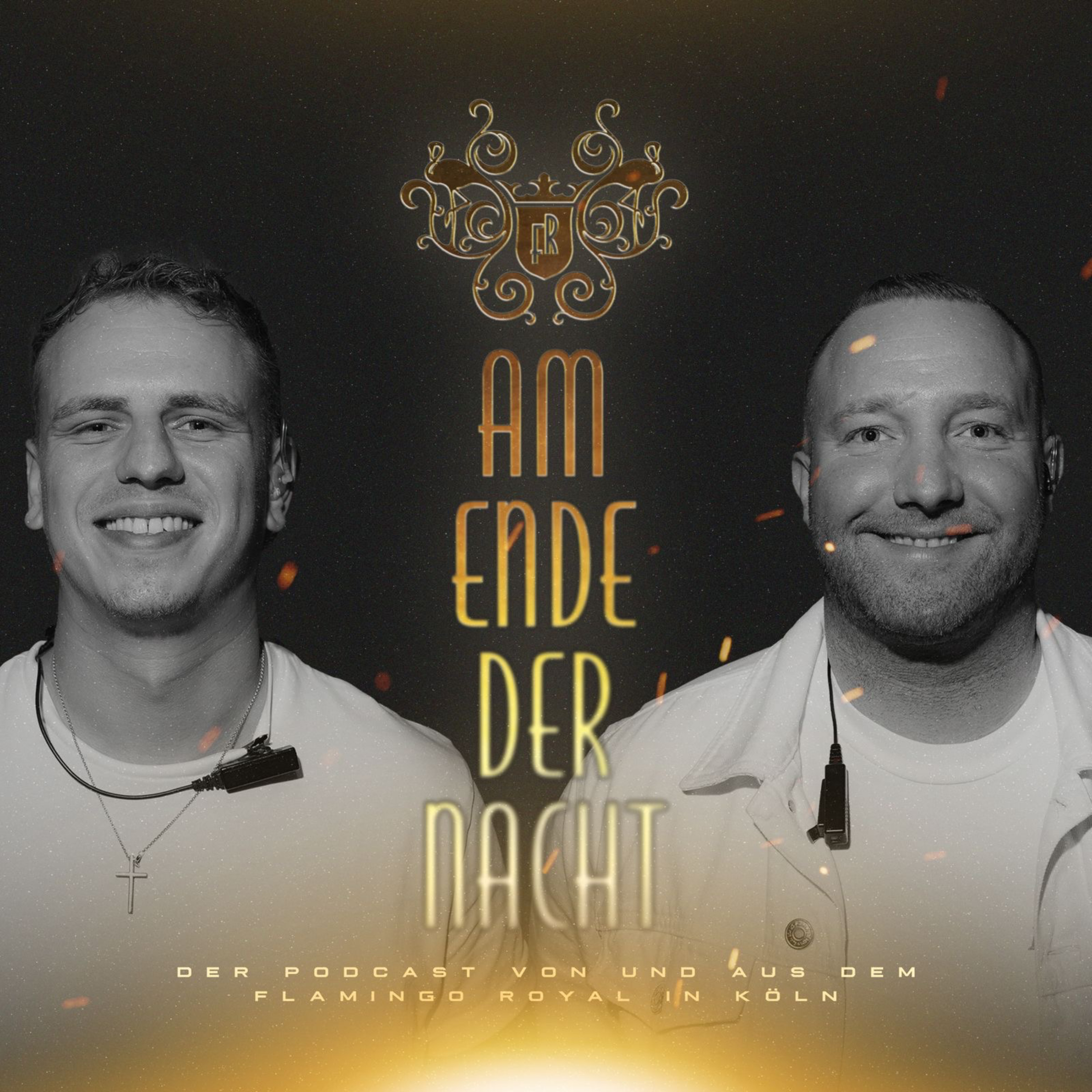 Am Ende der Nacht - Der Club Podcast by Flamingo Royal podcast artwork