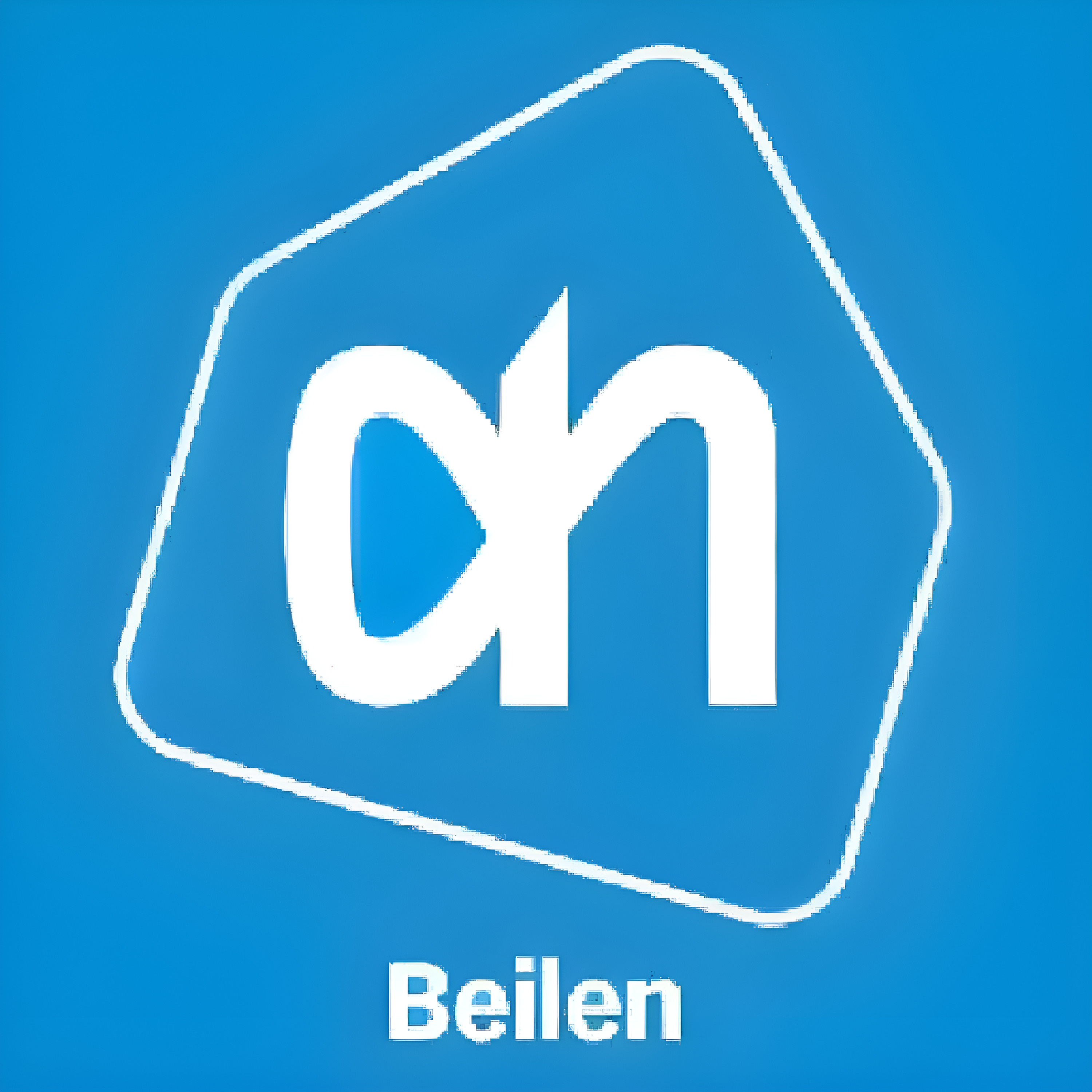 Albert Heijn Bonus Card