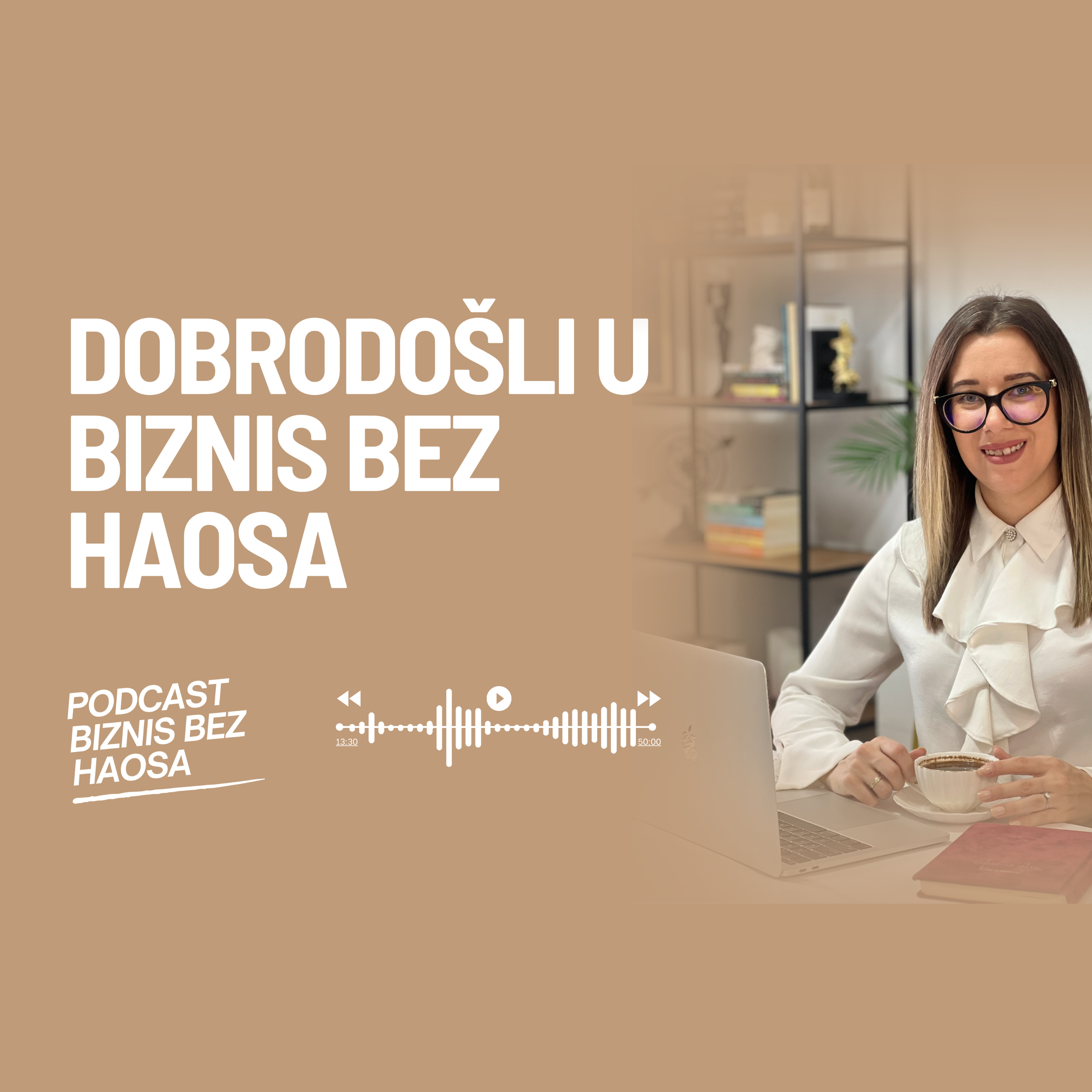 Biznis bez haosa