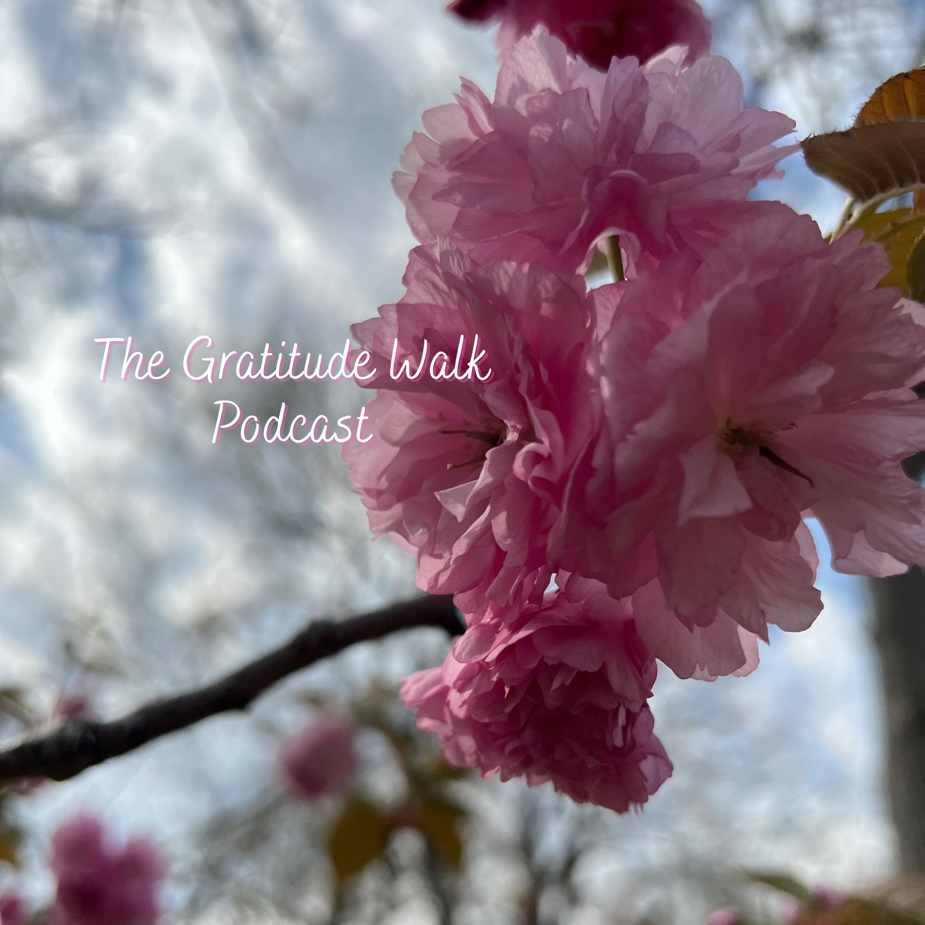 The Gratitude Walk Podcast