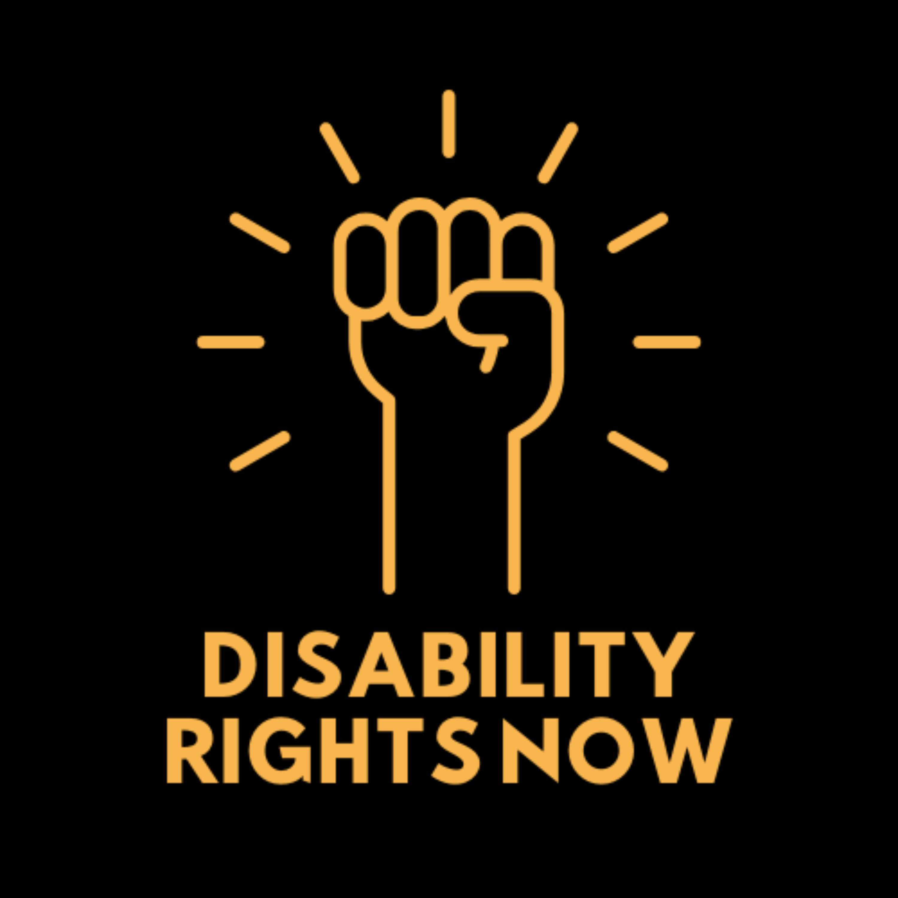 Disability Rights Now: Inside the Fight for Accessibility, Inclusion, and Independent Living