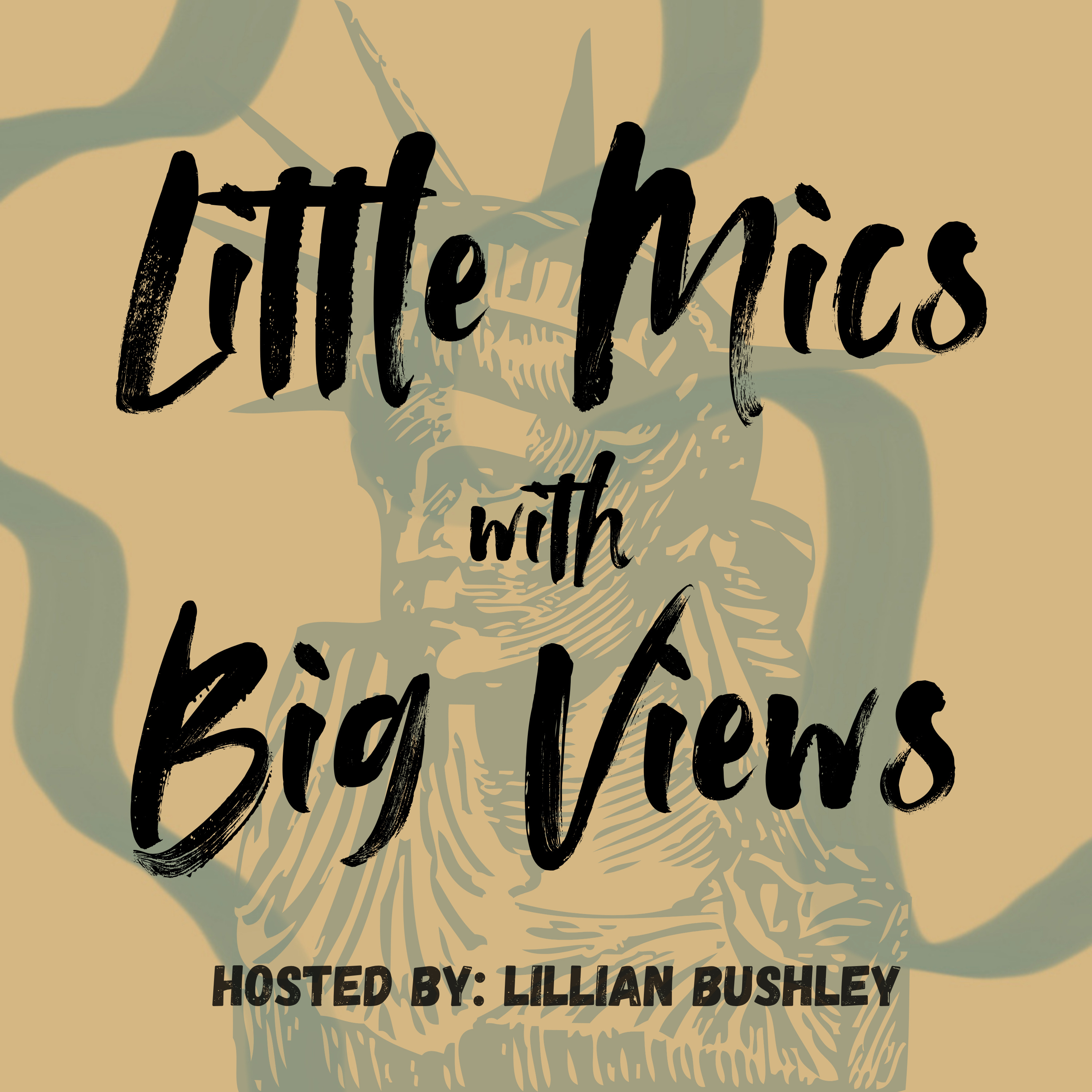 Little Mics with Big Views podcast artwork