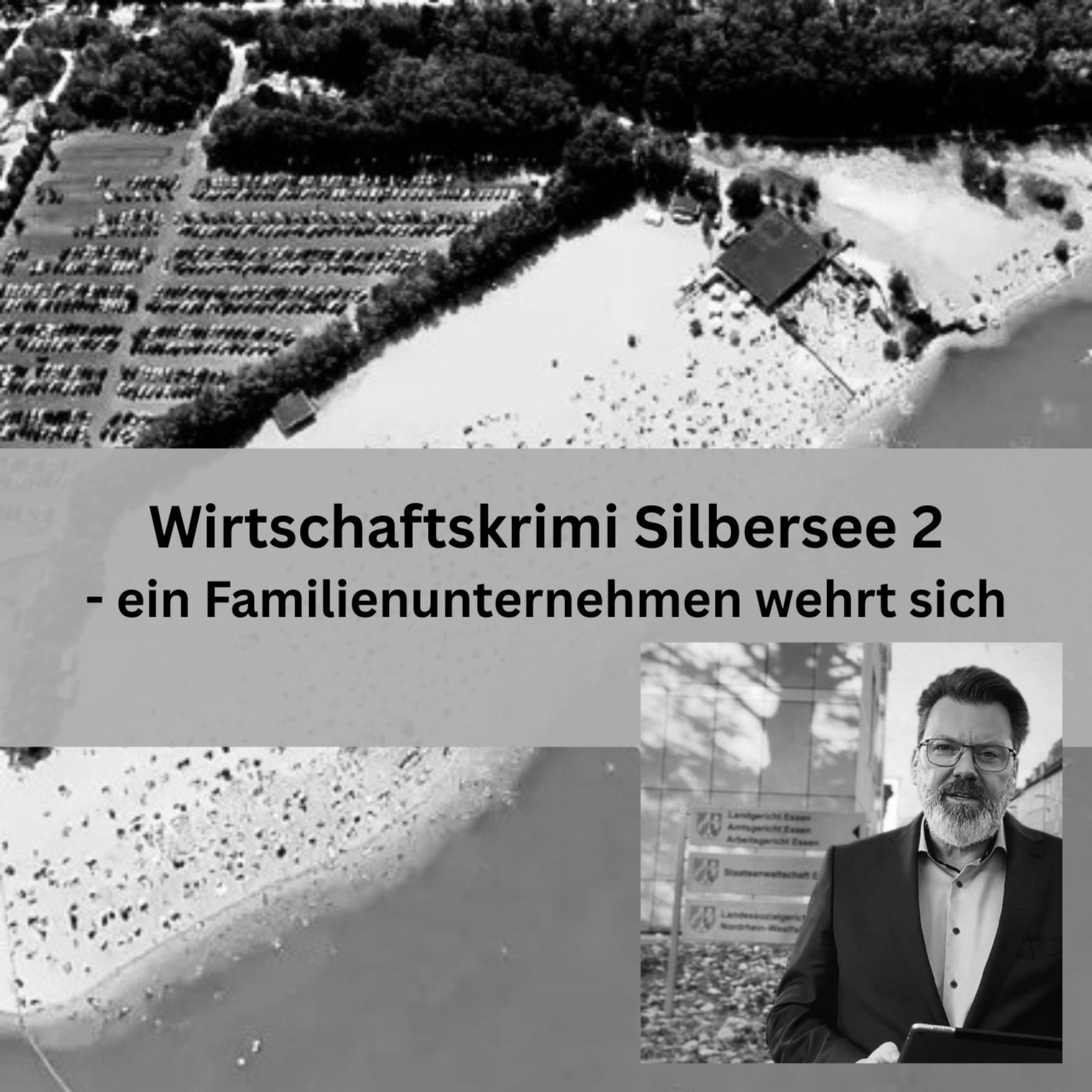 Wirtschaftskrimi Silbersee 2 – True Crime aus der deutschen Wirtschaft podcast artwork