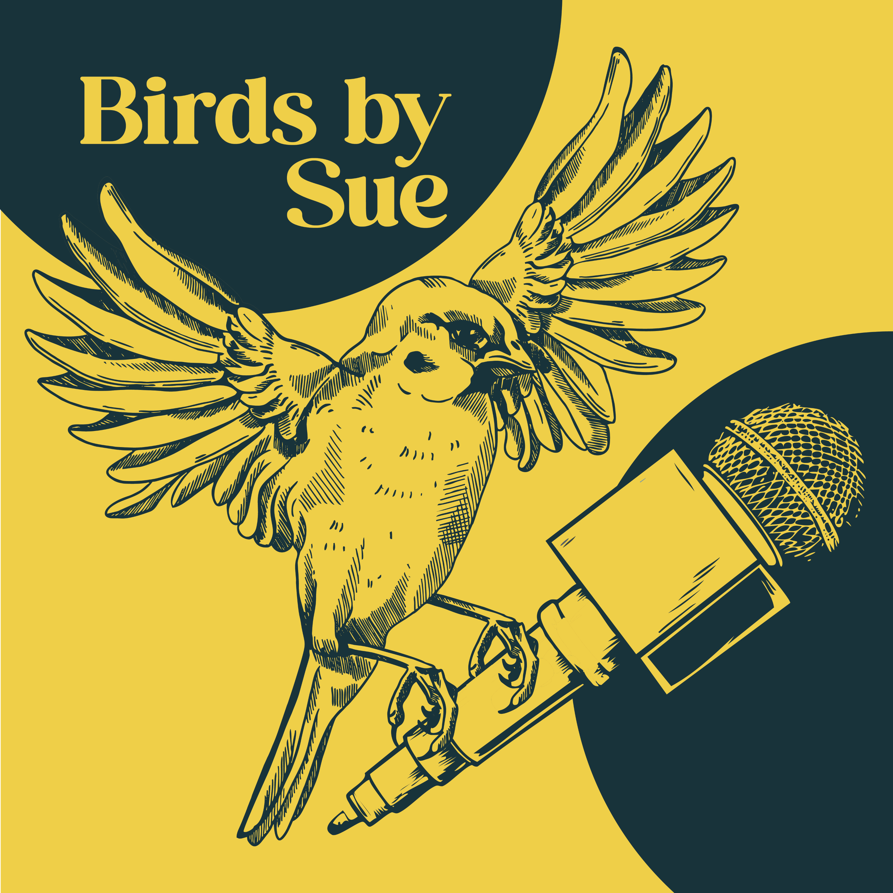 Birds By Sue