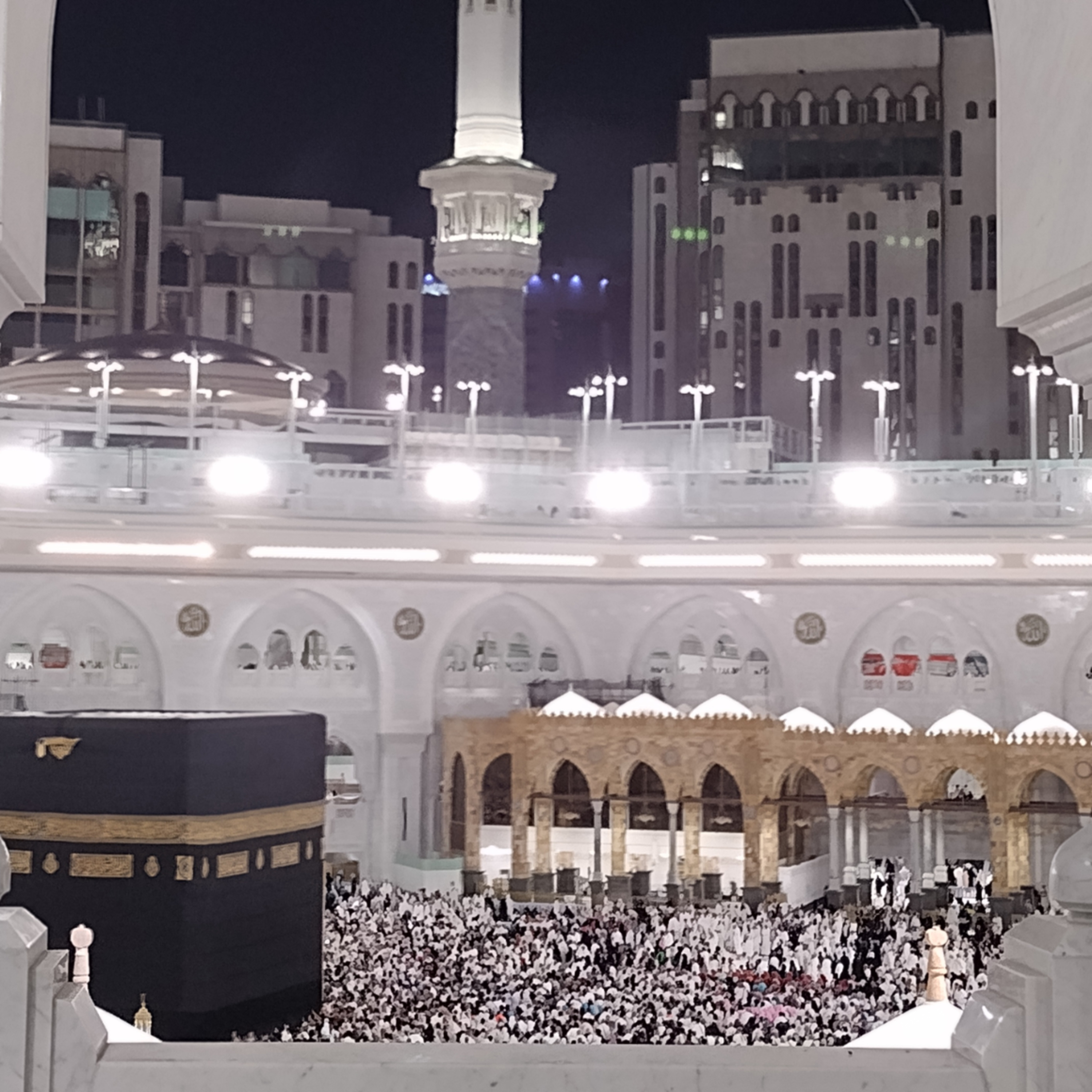 قناة أبي حسام مهند الرملي - Abu Husam Mouhanad Al-Ramli\'s Channel