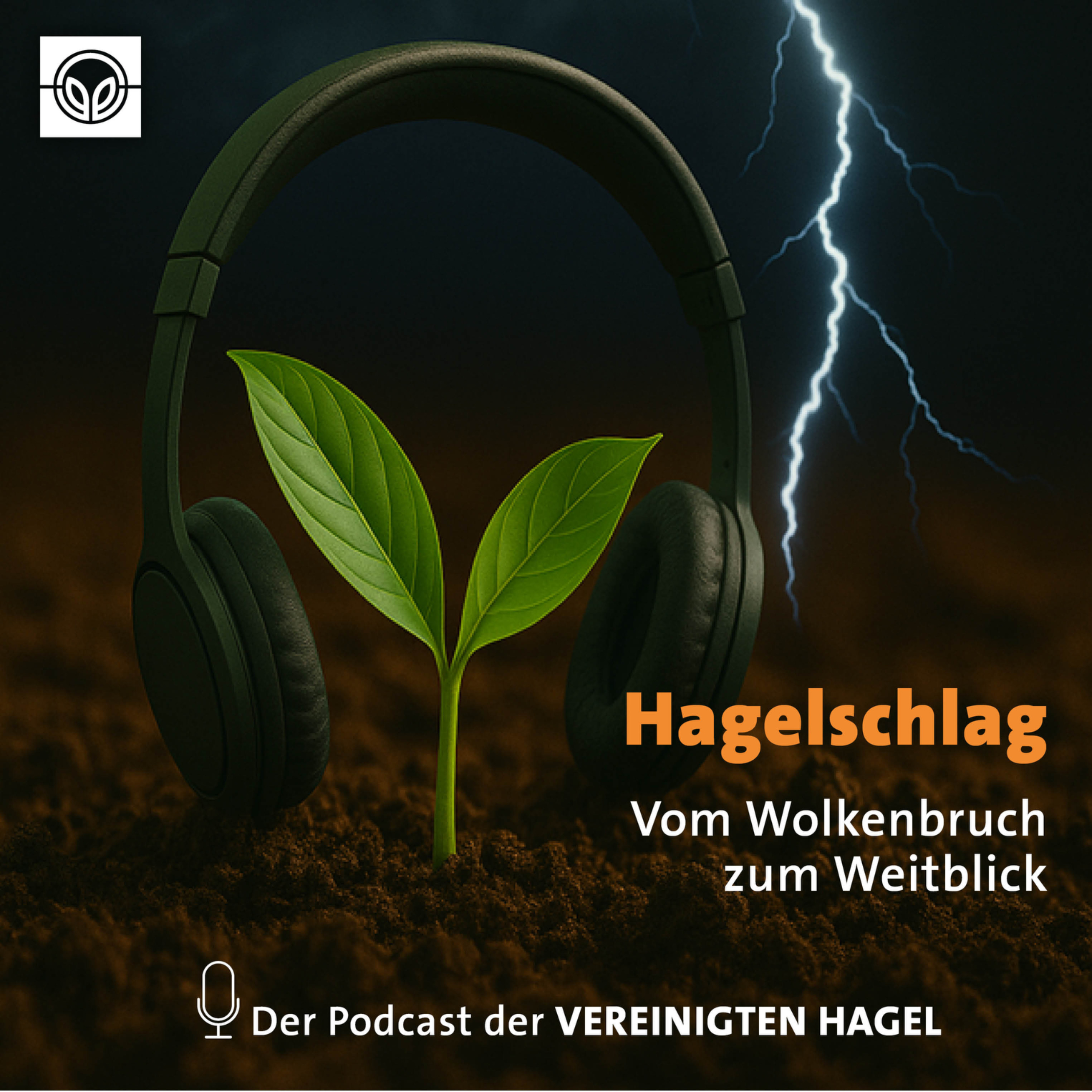 Hagelschlag - Vom Wolkenbruch zum Weitblick podcast artwork