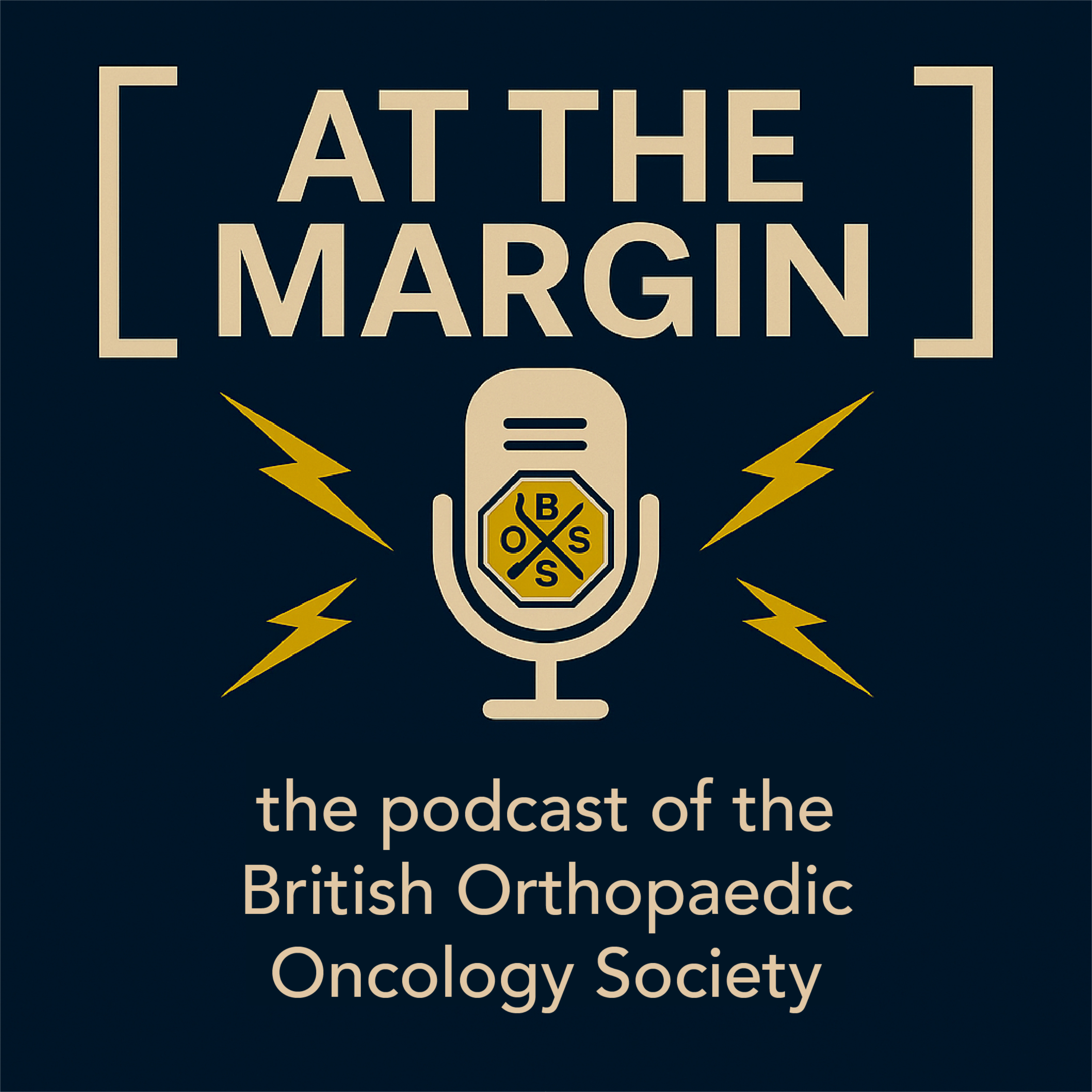At the margin podcast artwork