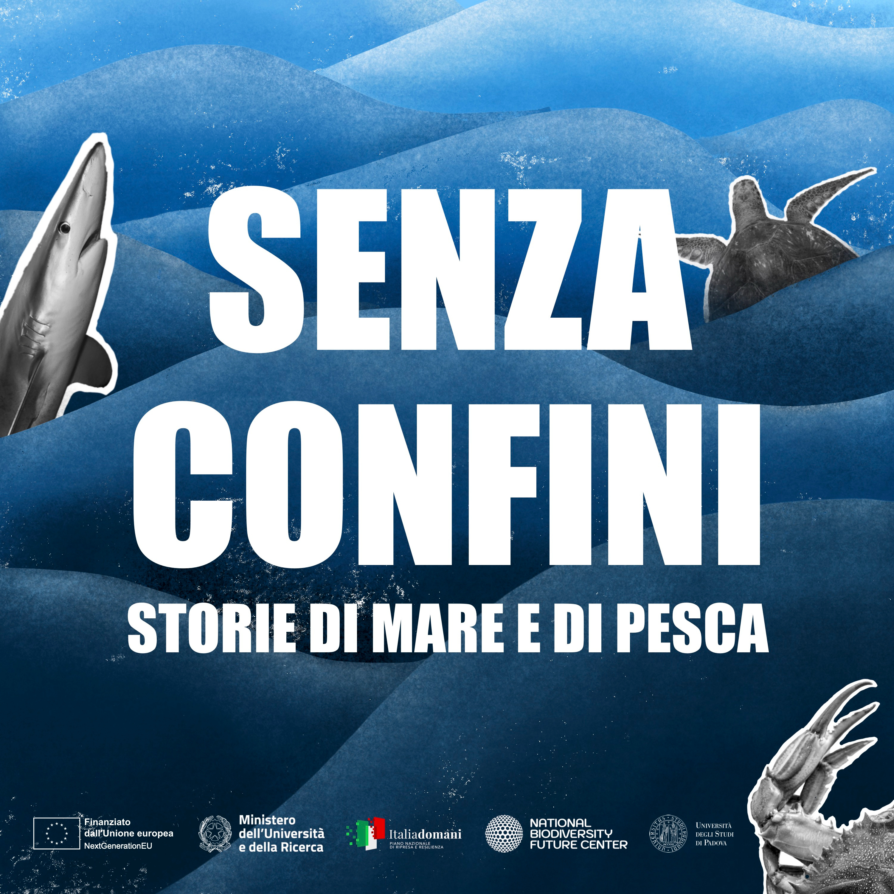 Senza confini. Storie di mare e di pesca