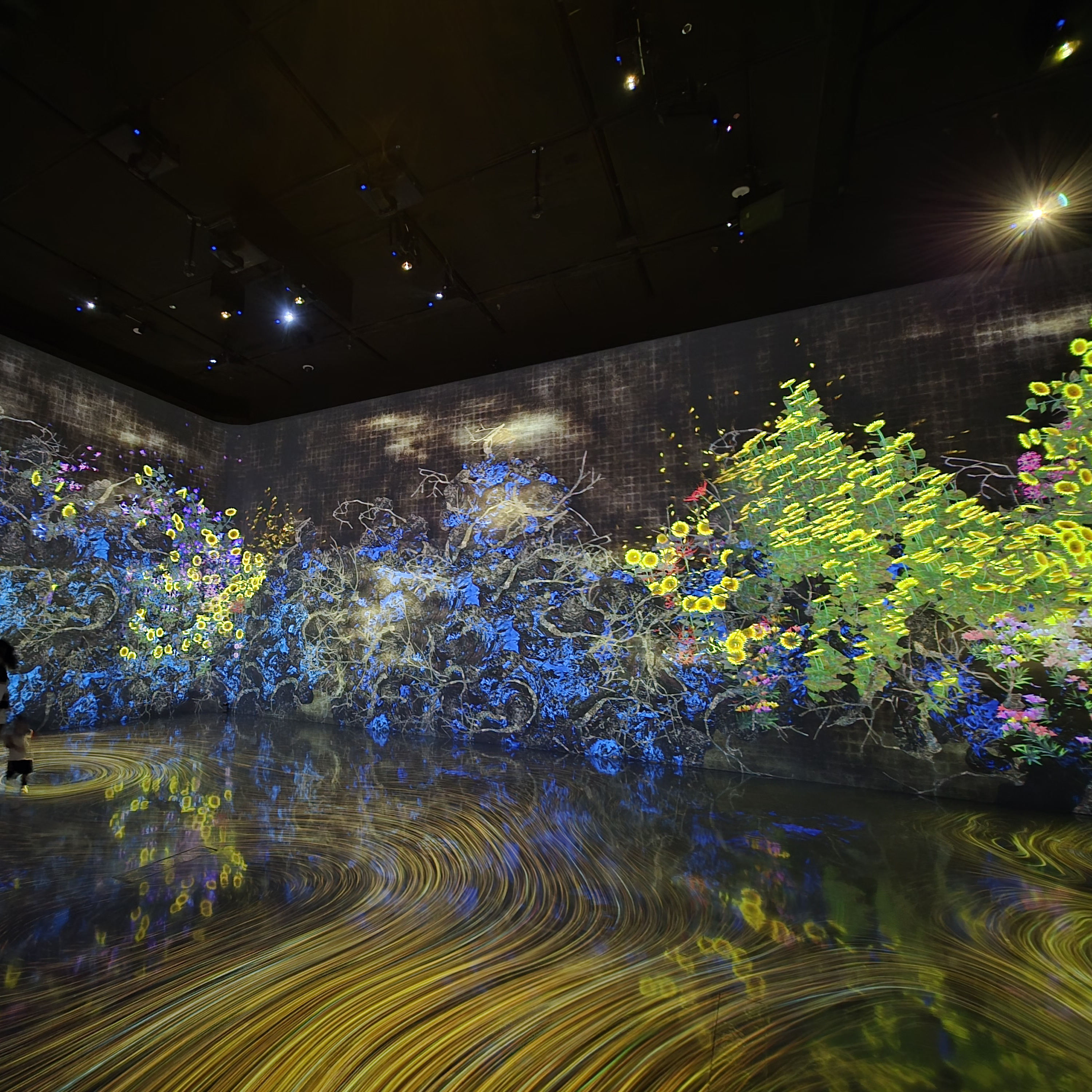 The Dramatic ups + downs cover art