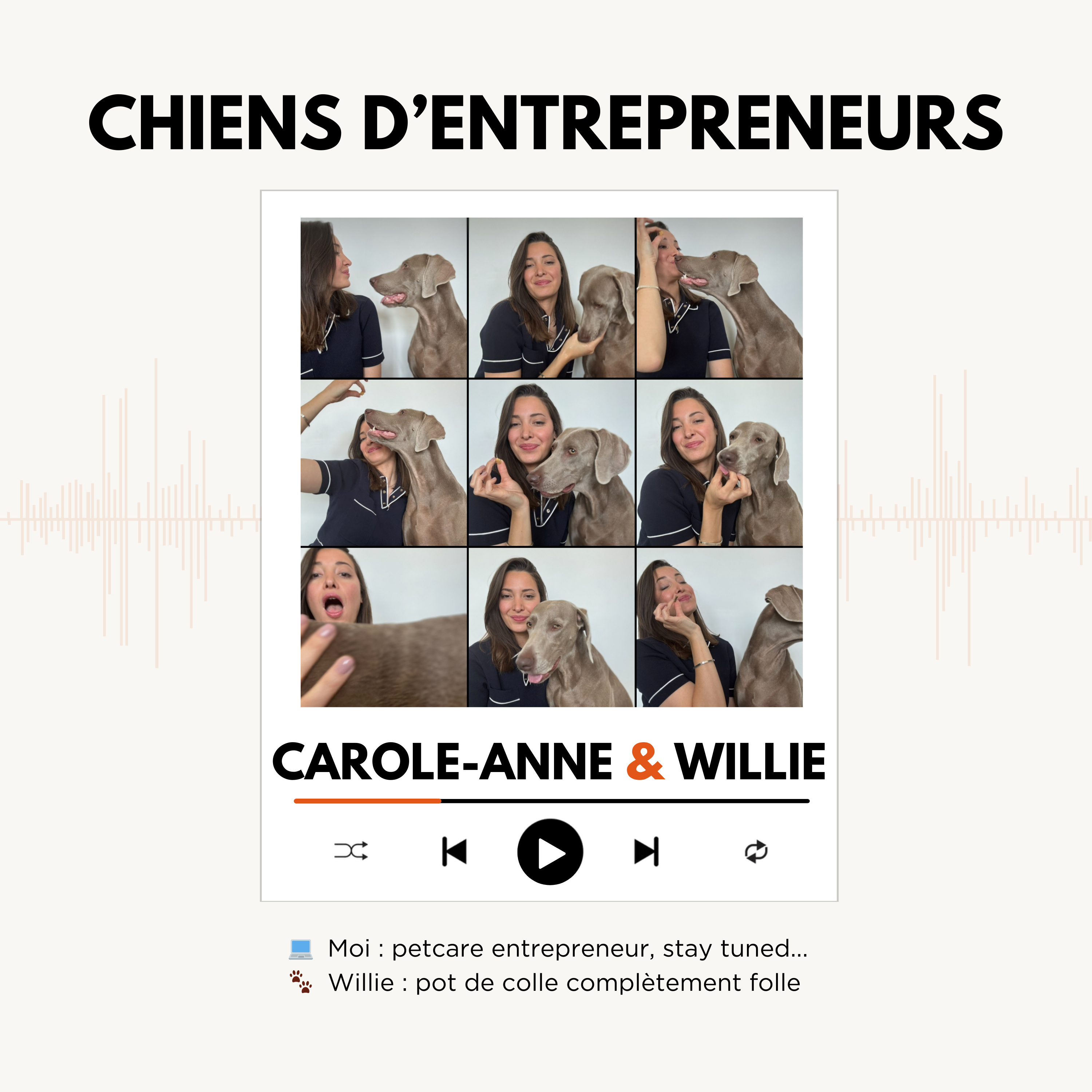 Chiens d'entrepreneurs