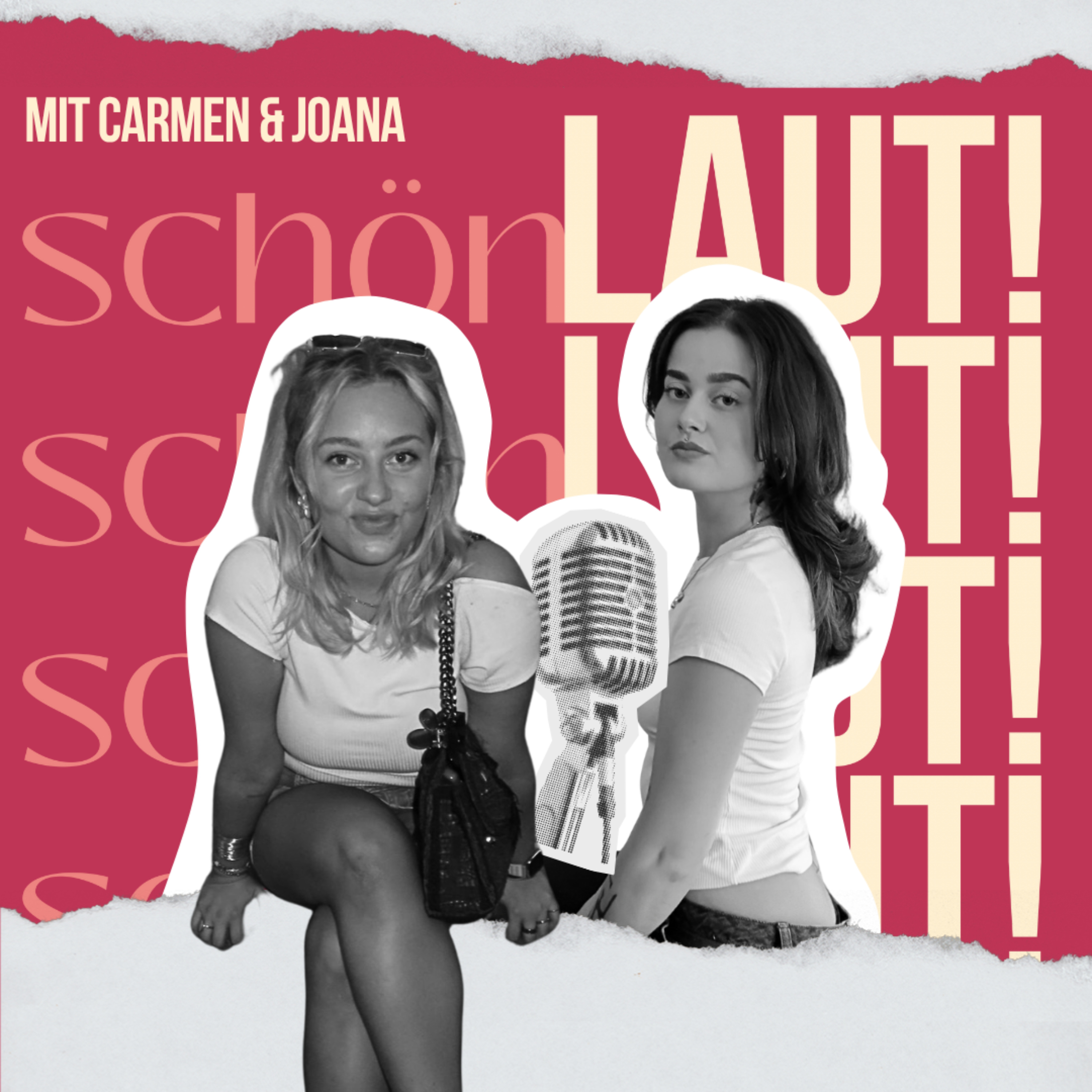 SchönLAUT! - Weil Meinung nicht flüstert. podcast artwork