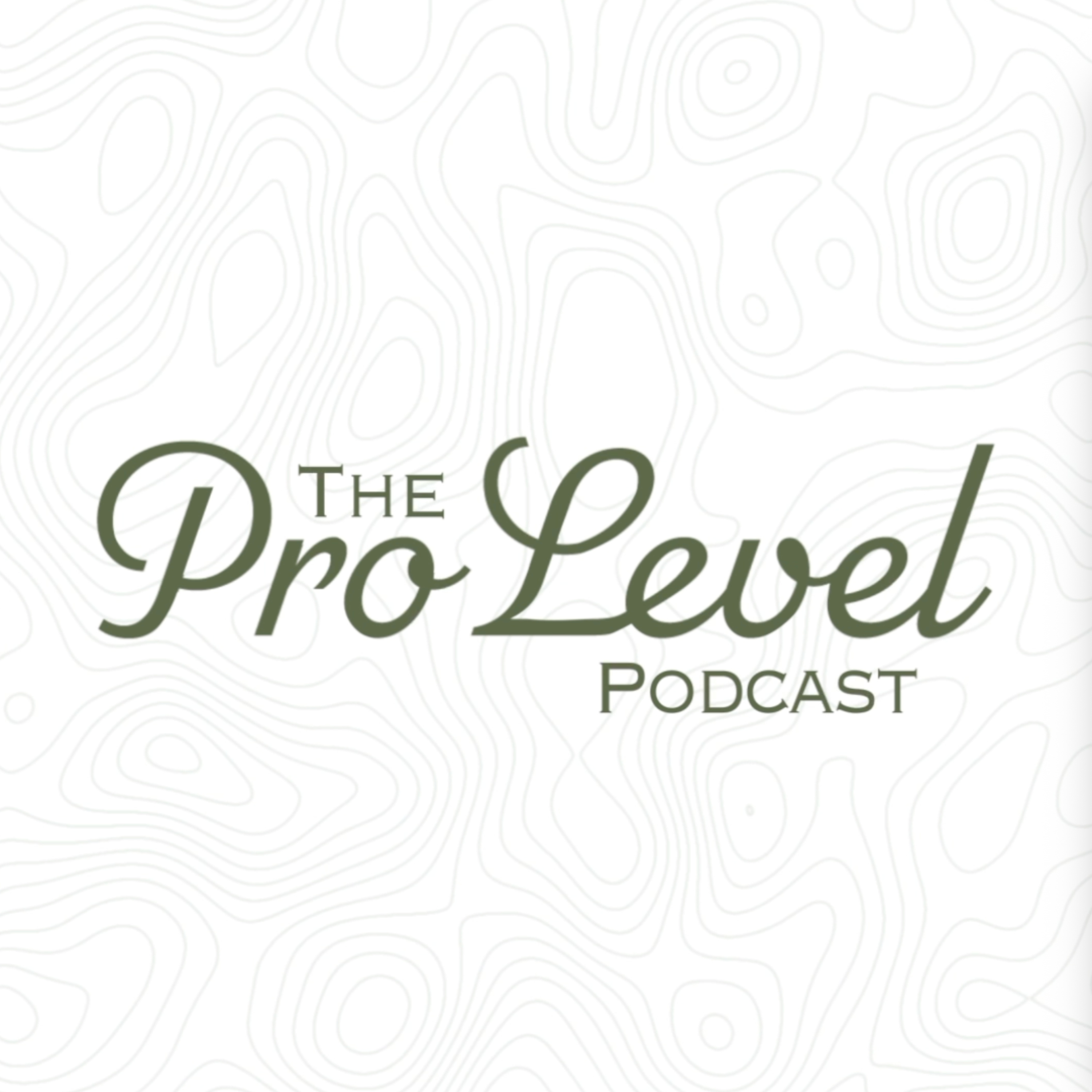 Pro Level Podcast
