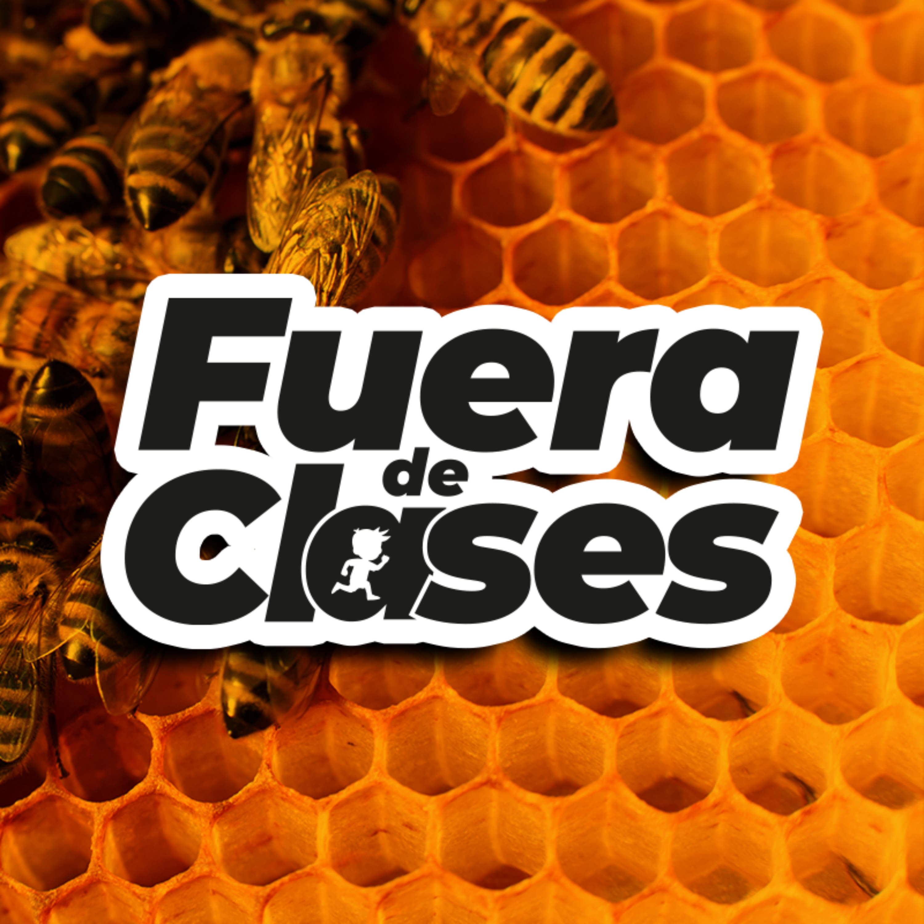 Fuera de clases