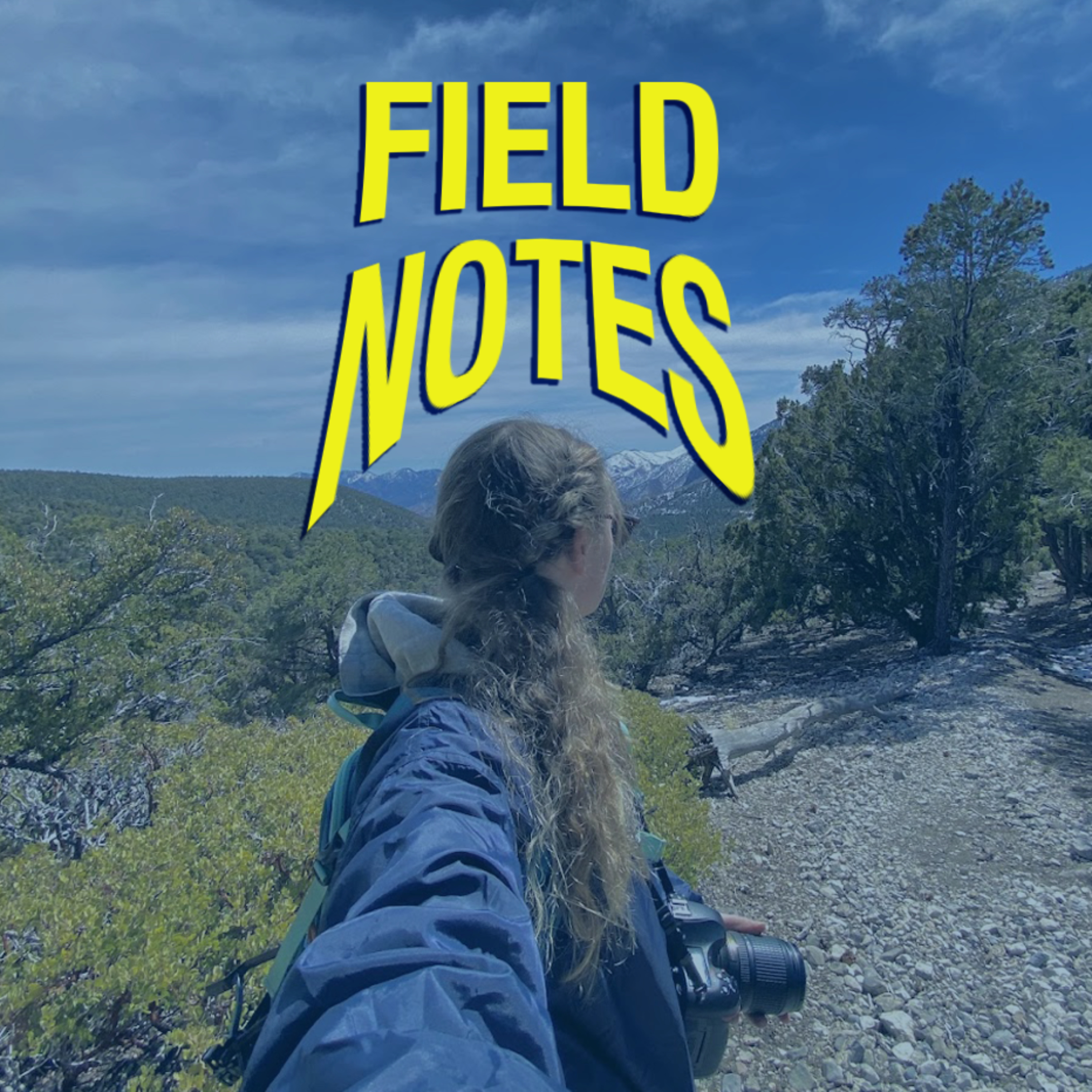 Field Notes by Jamie