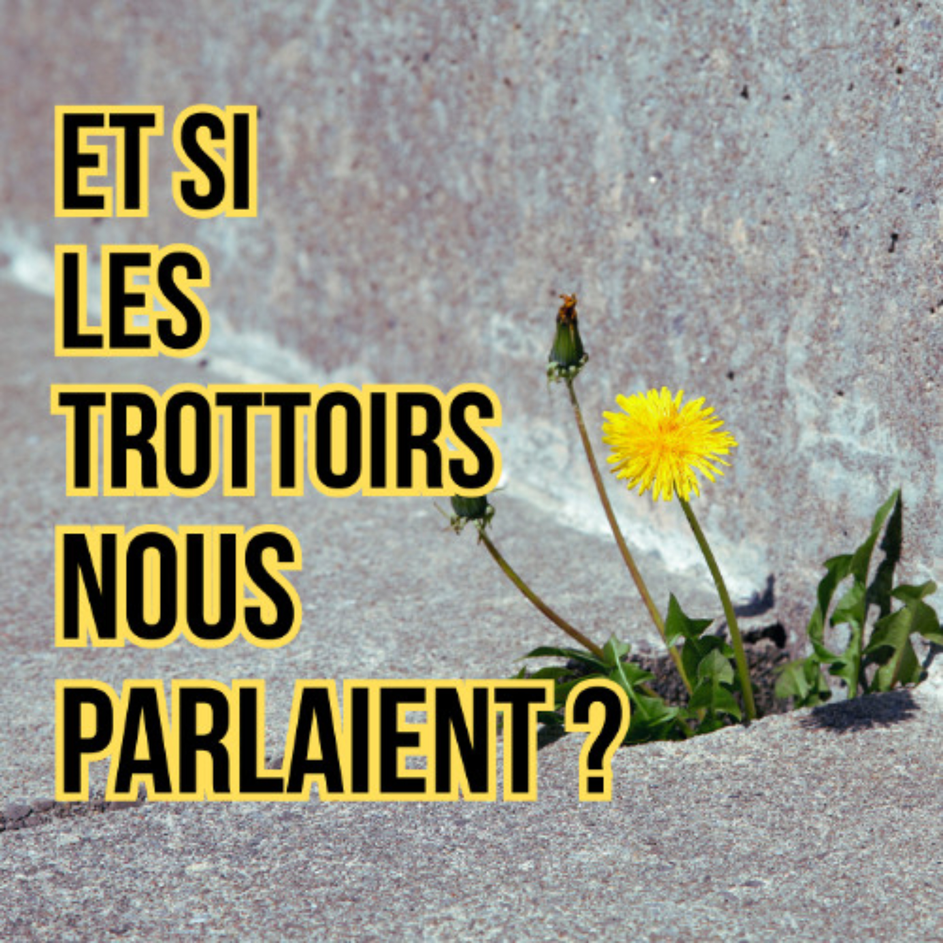 Et si les trottoirs nous parlaient?