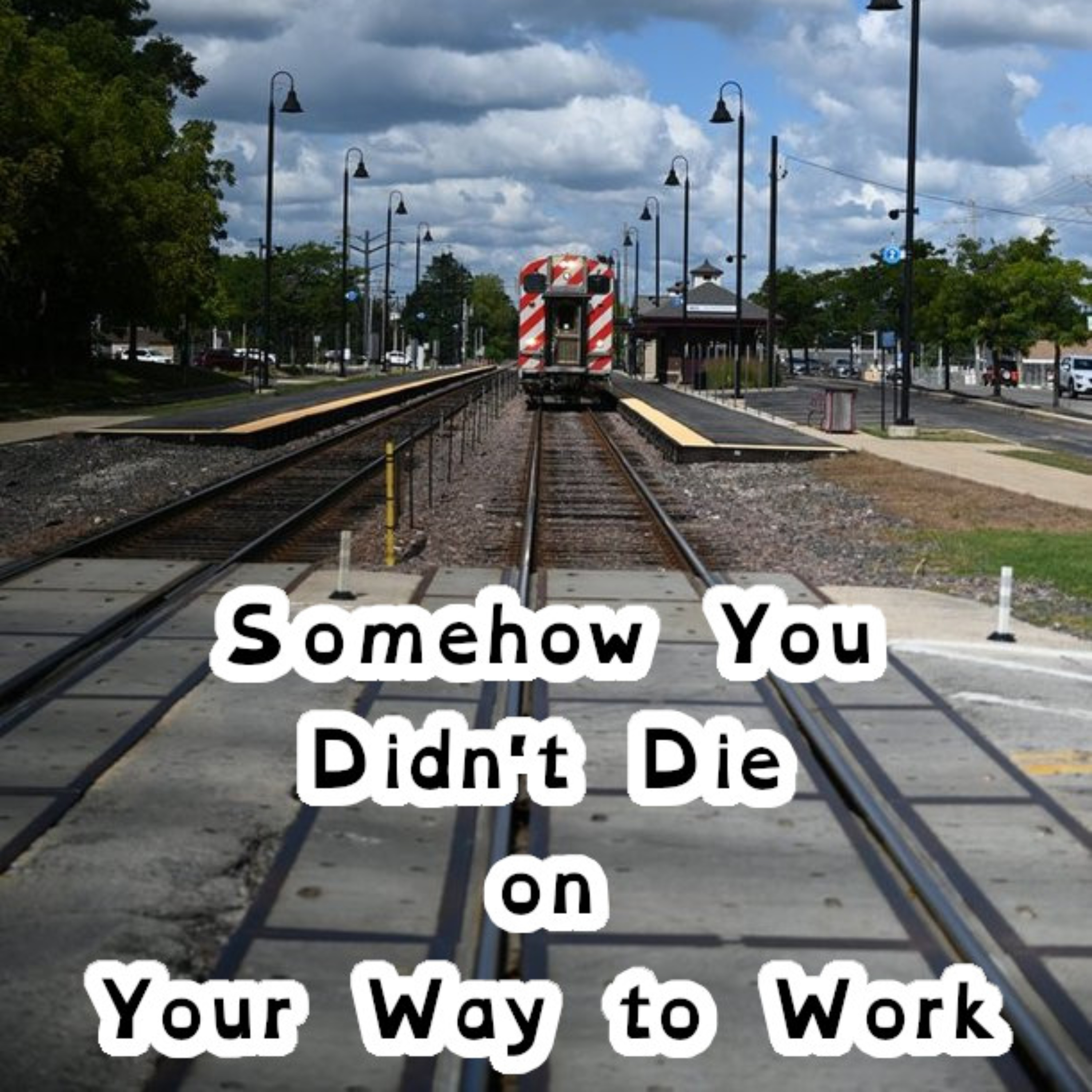 Somehow You Didn't Die on Your Way to Work