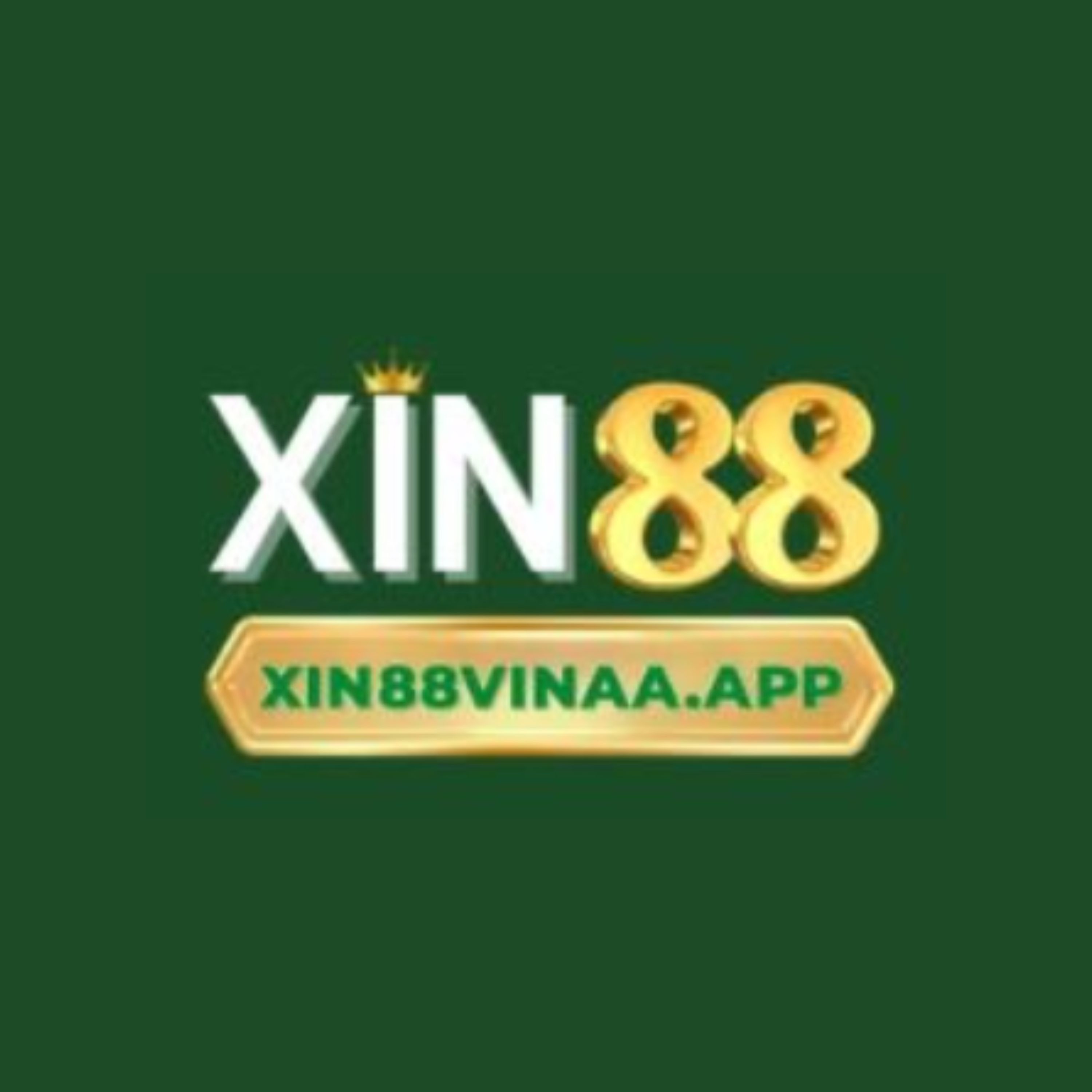 Xin88 podcast artwork