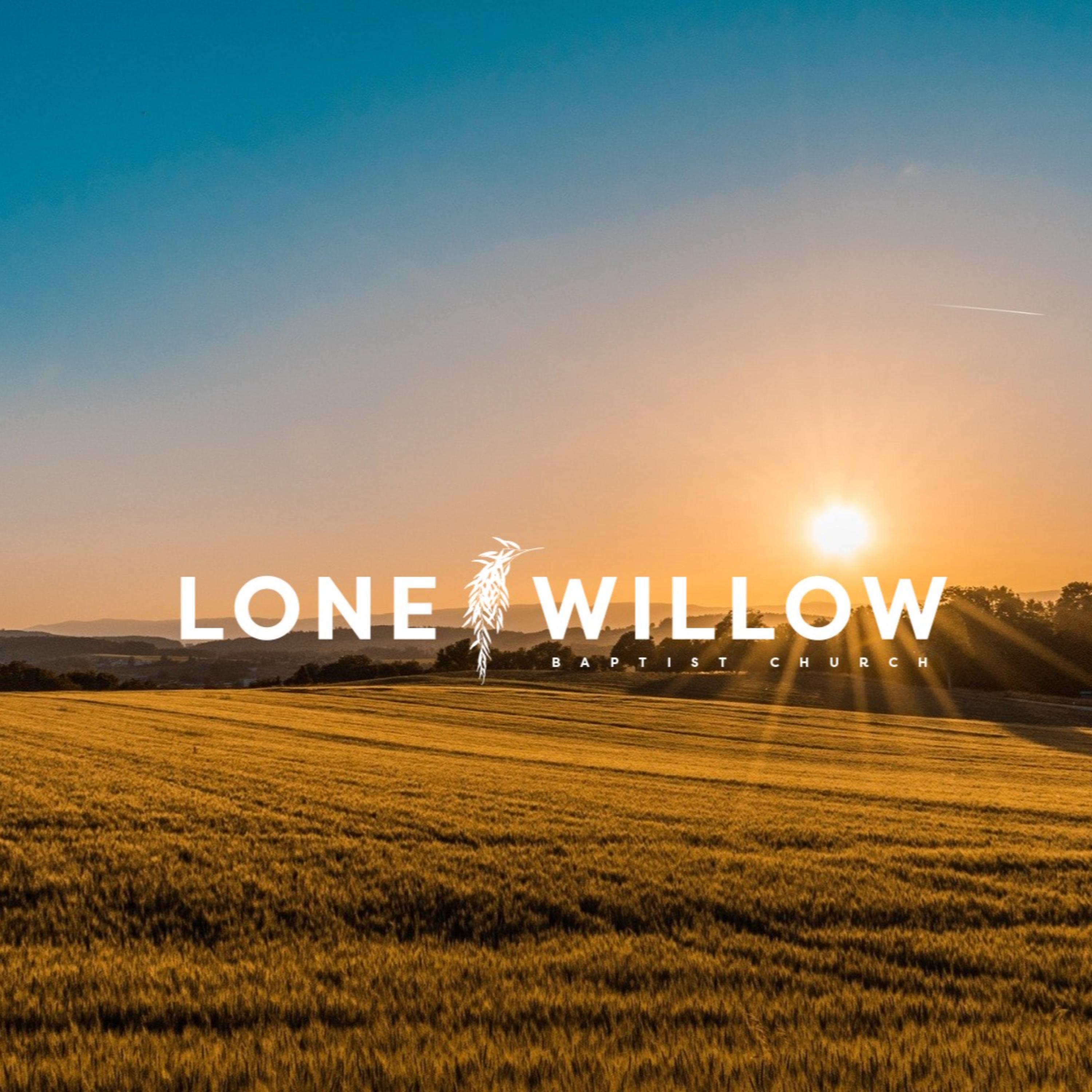 Lone Willow Baptist Church: Sermons
