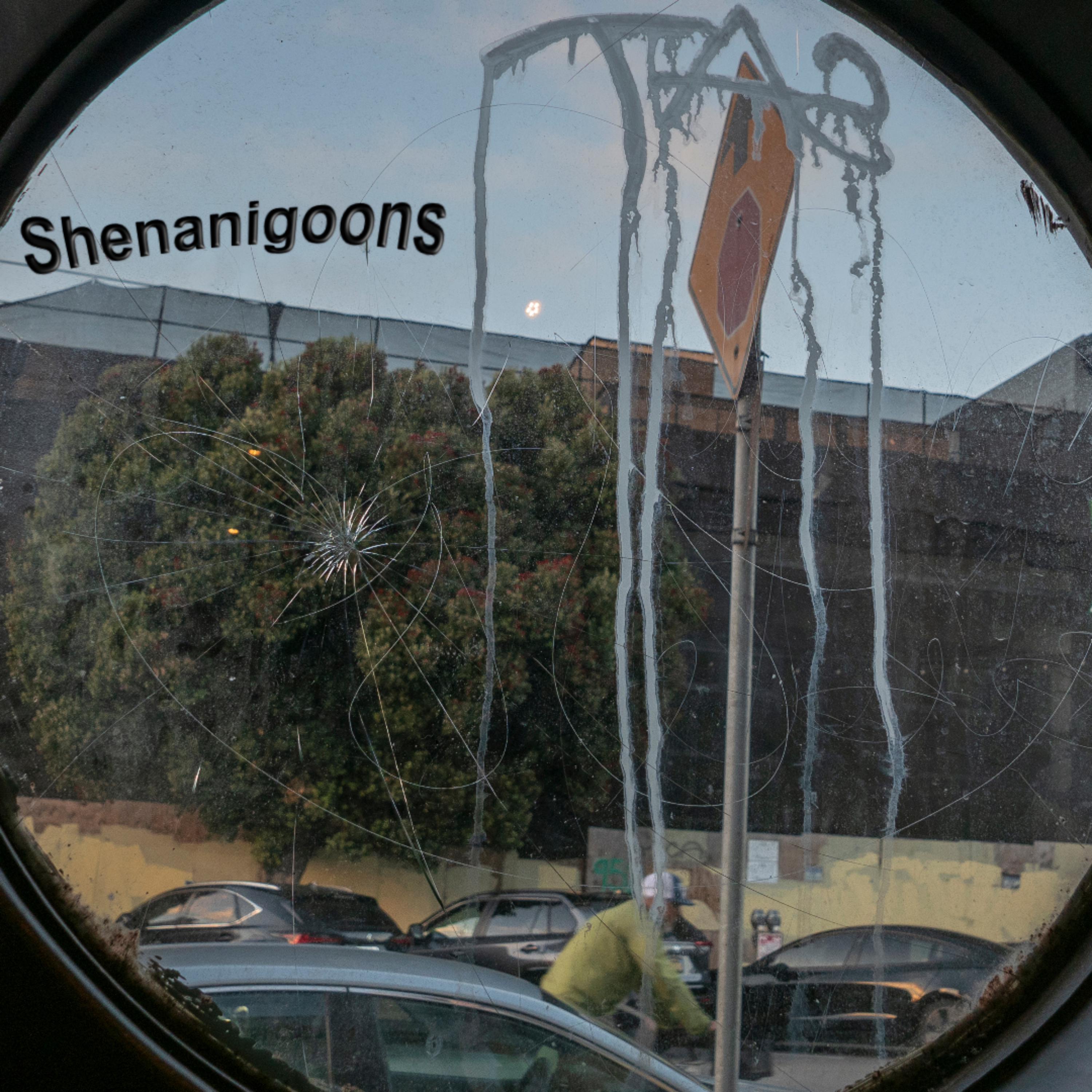 Shenanigoons