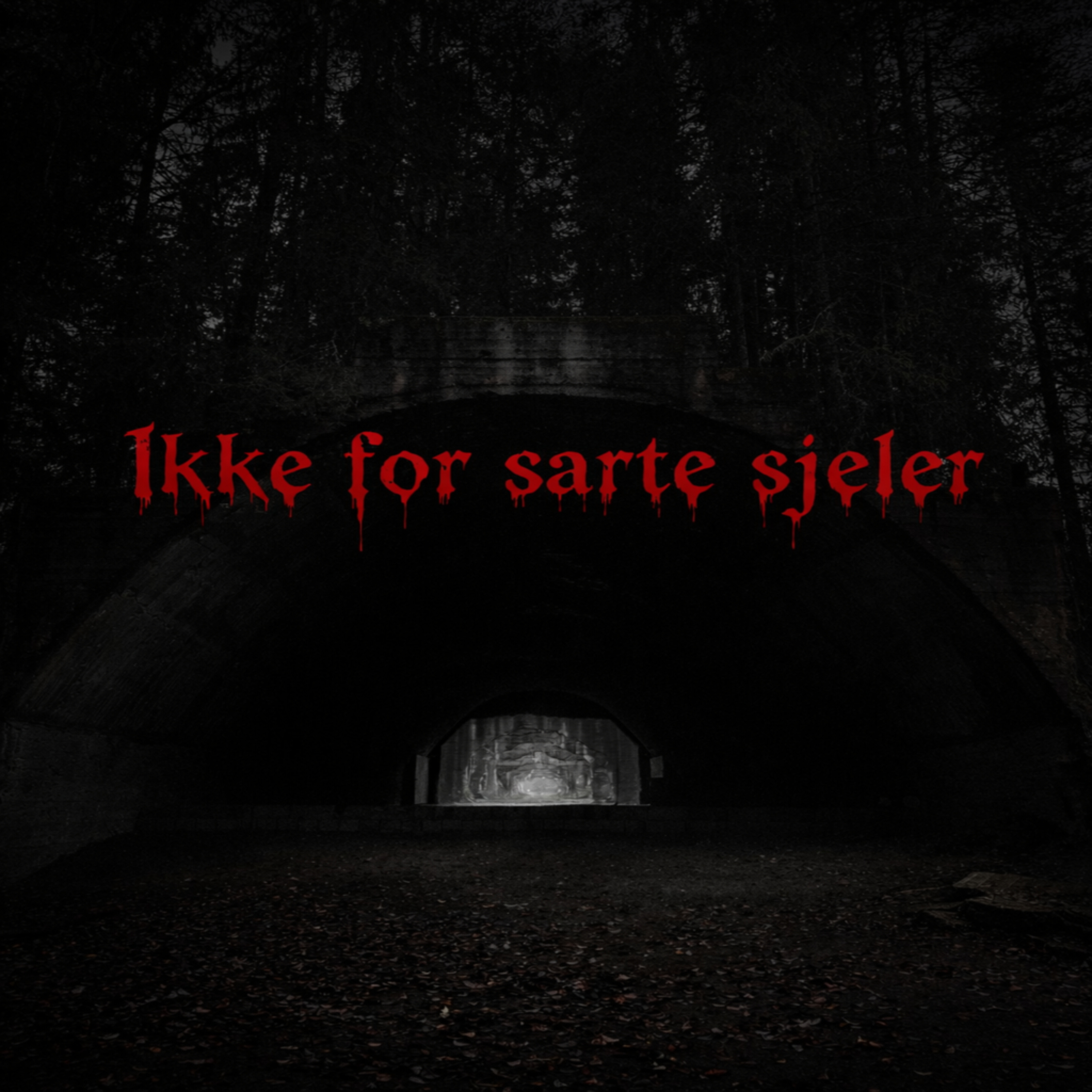 Ikke For Sarte Sjeler cover art