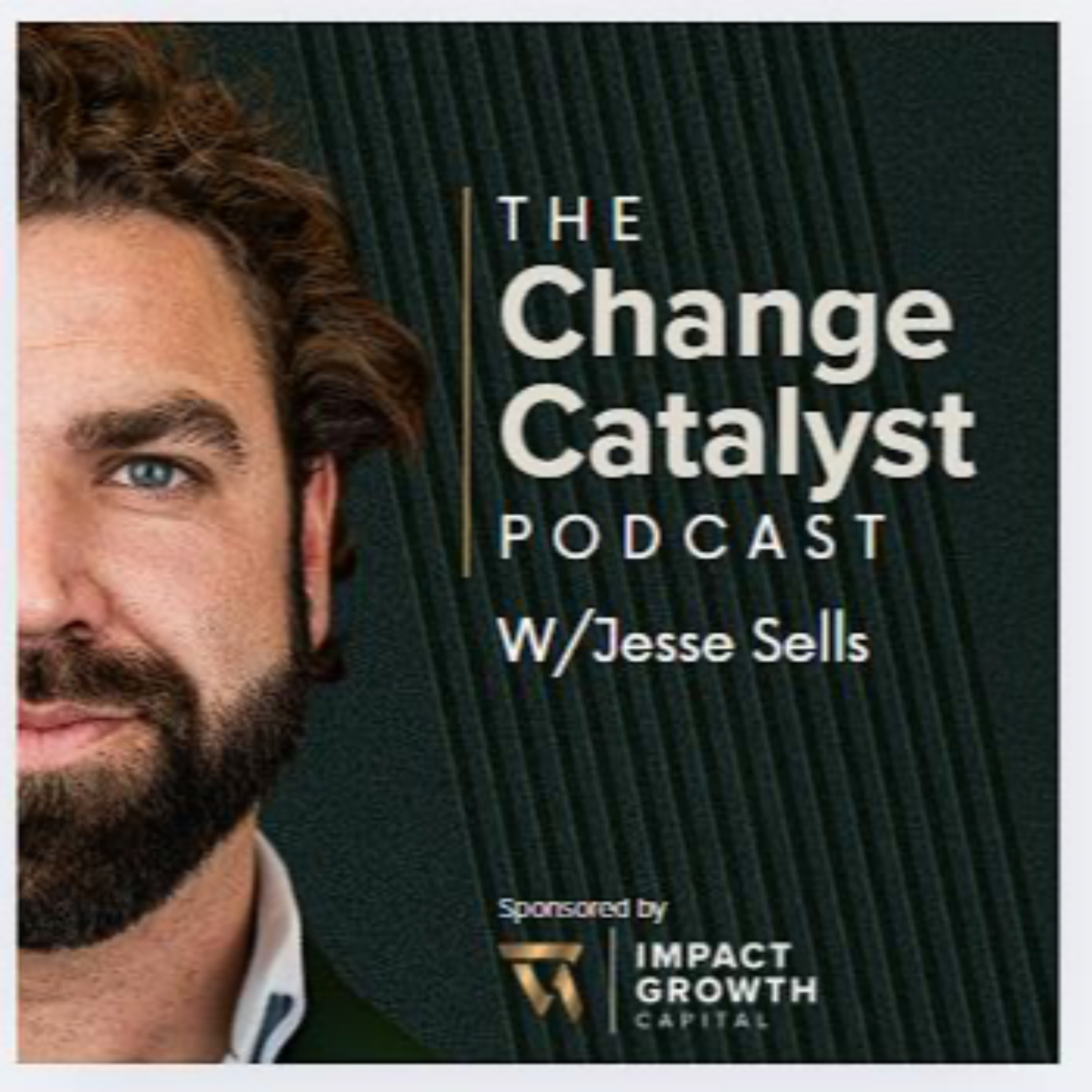 The Change Catalyst