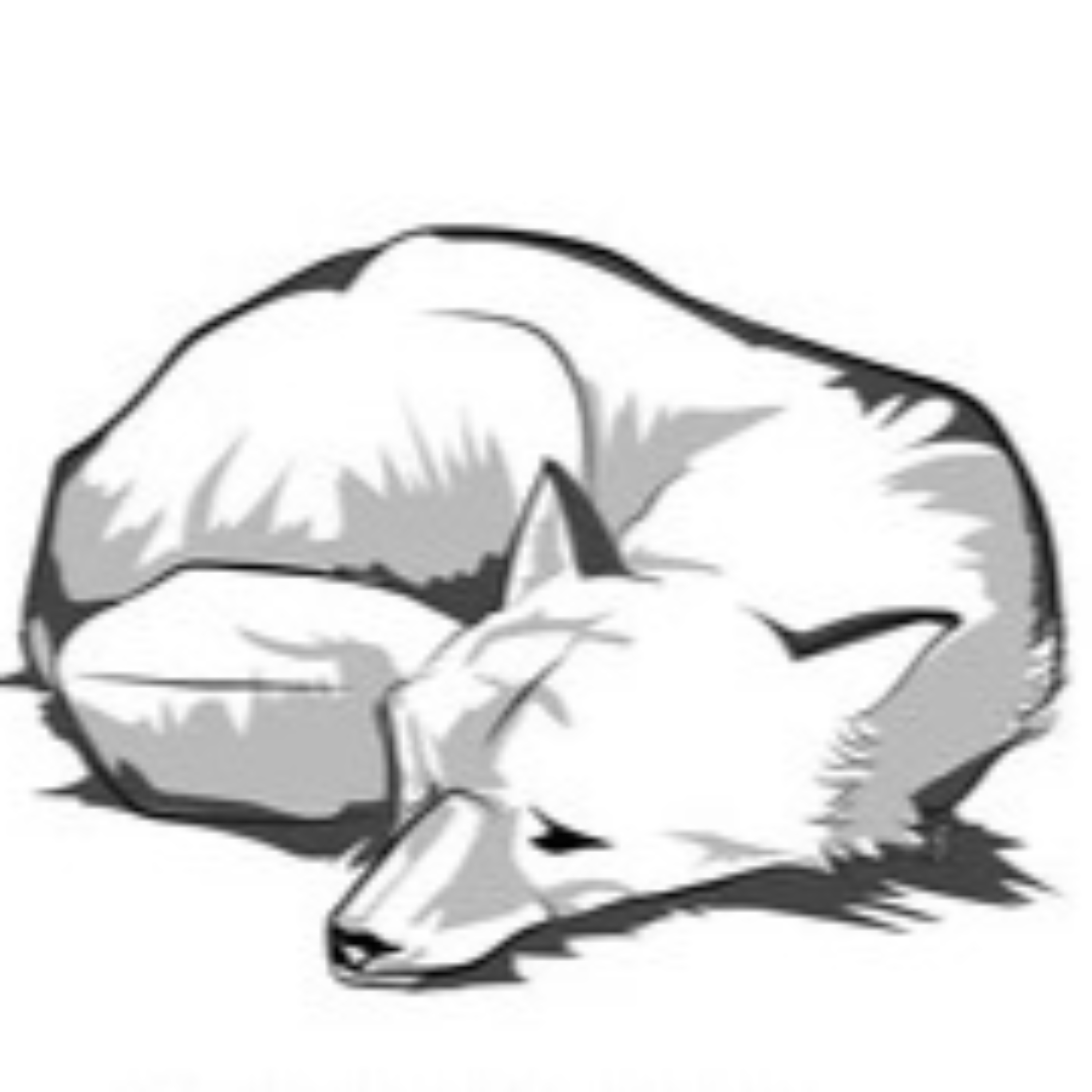 Sleeping Horror