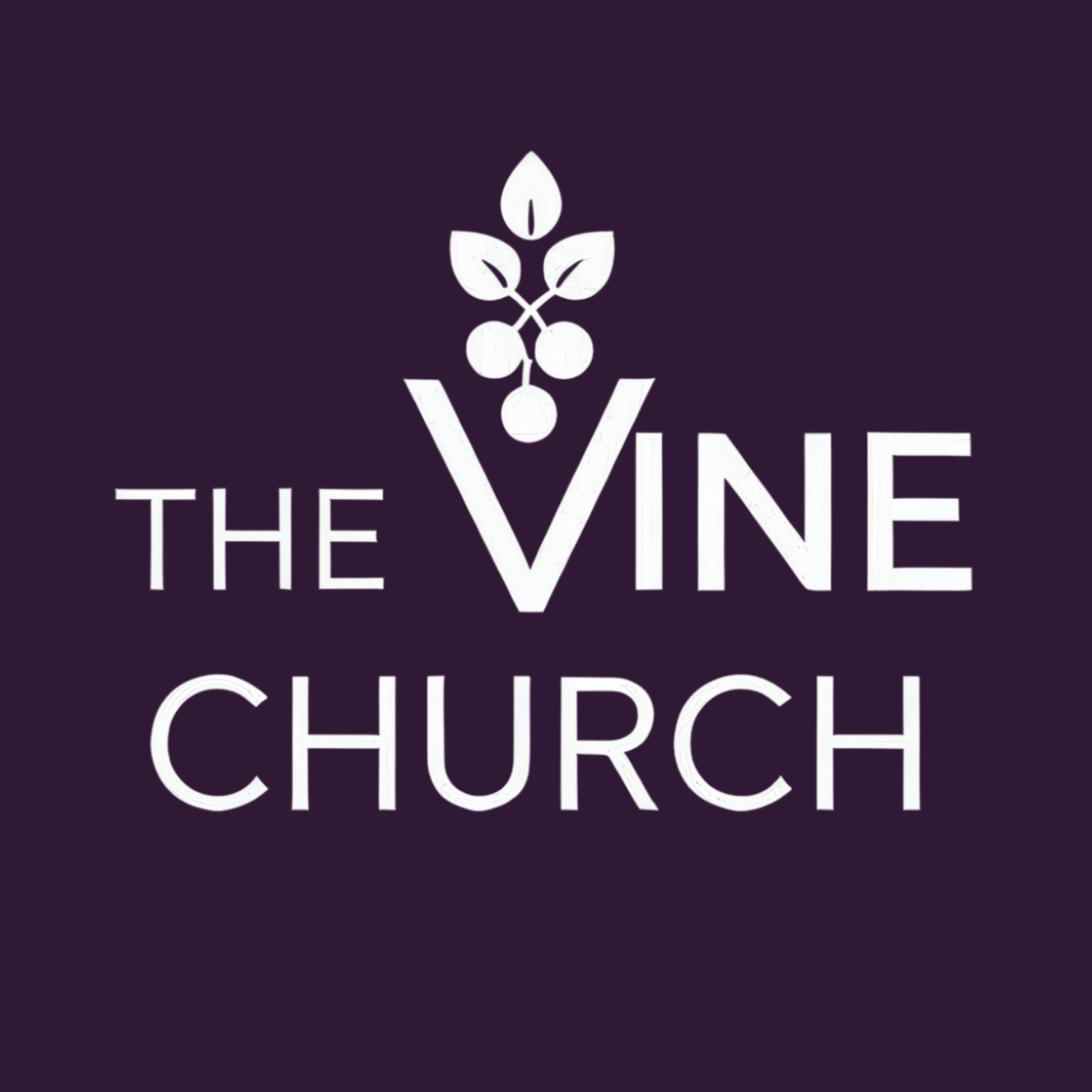 The Vine Church