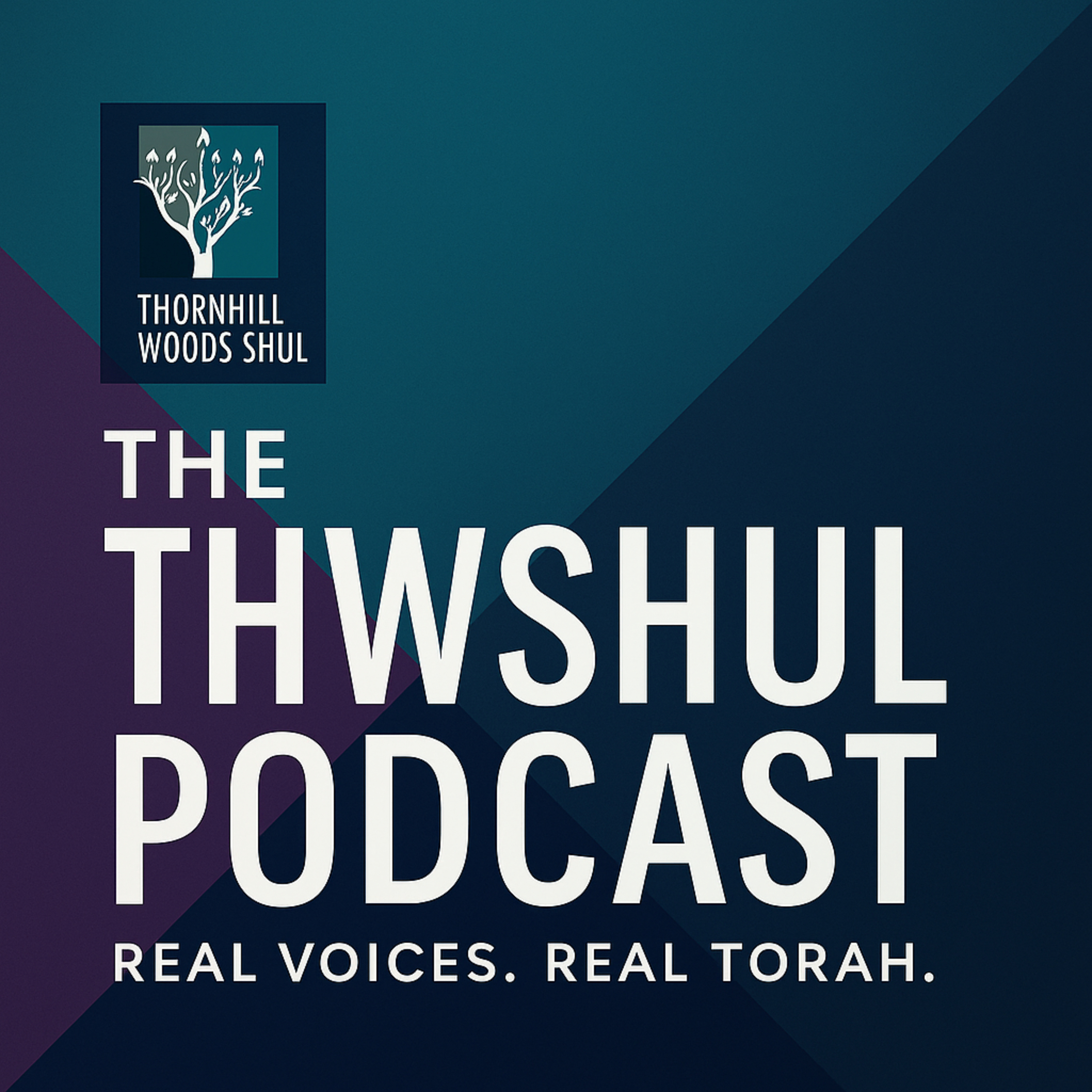 The THWSHUL Podcast