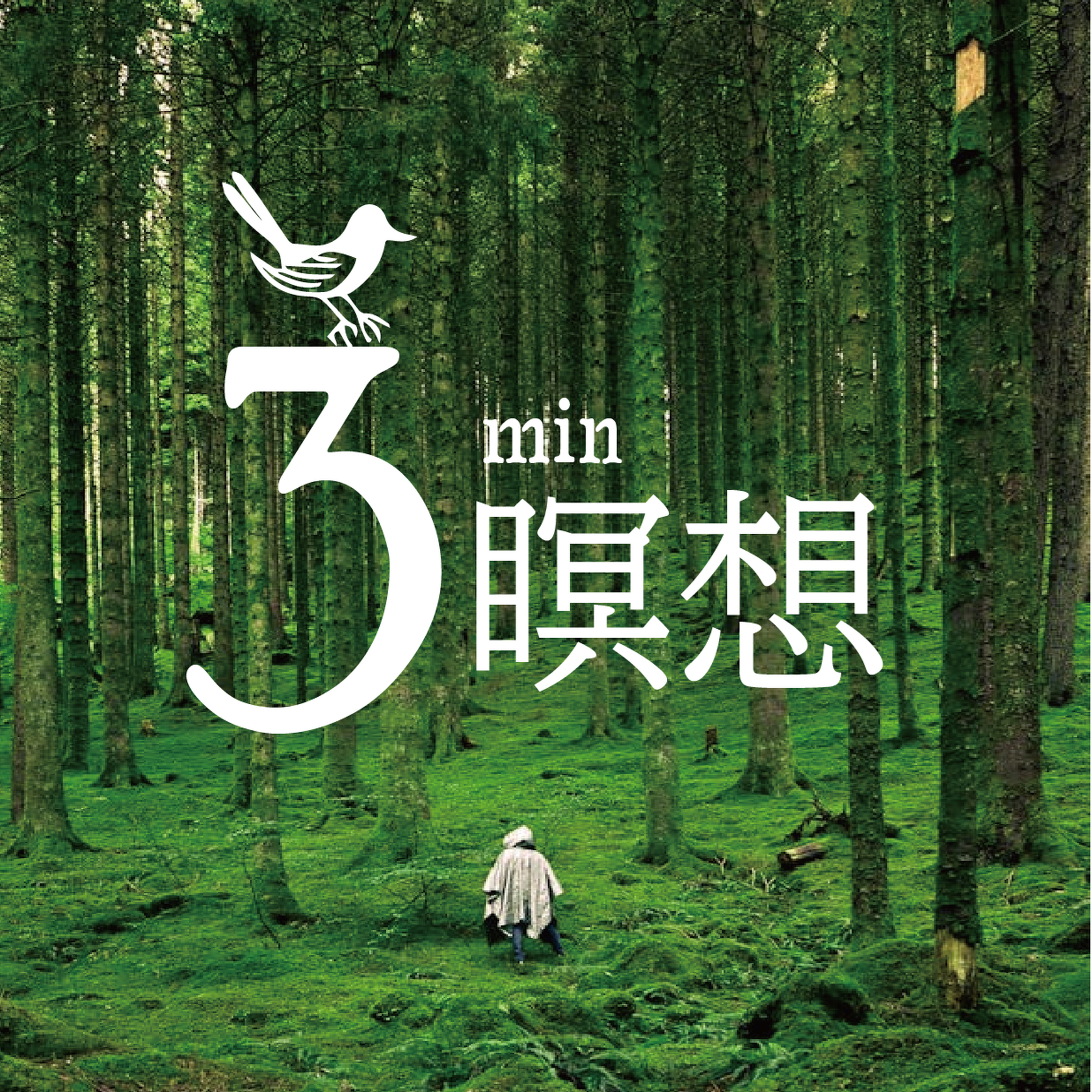 アサンガの森｜3分瞑想