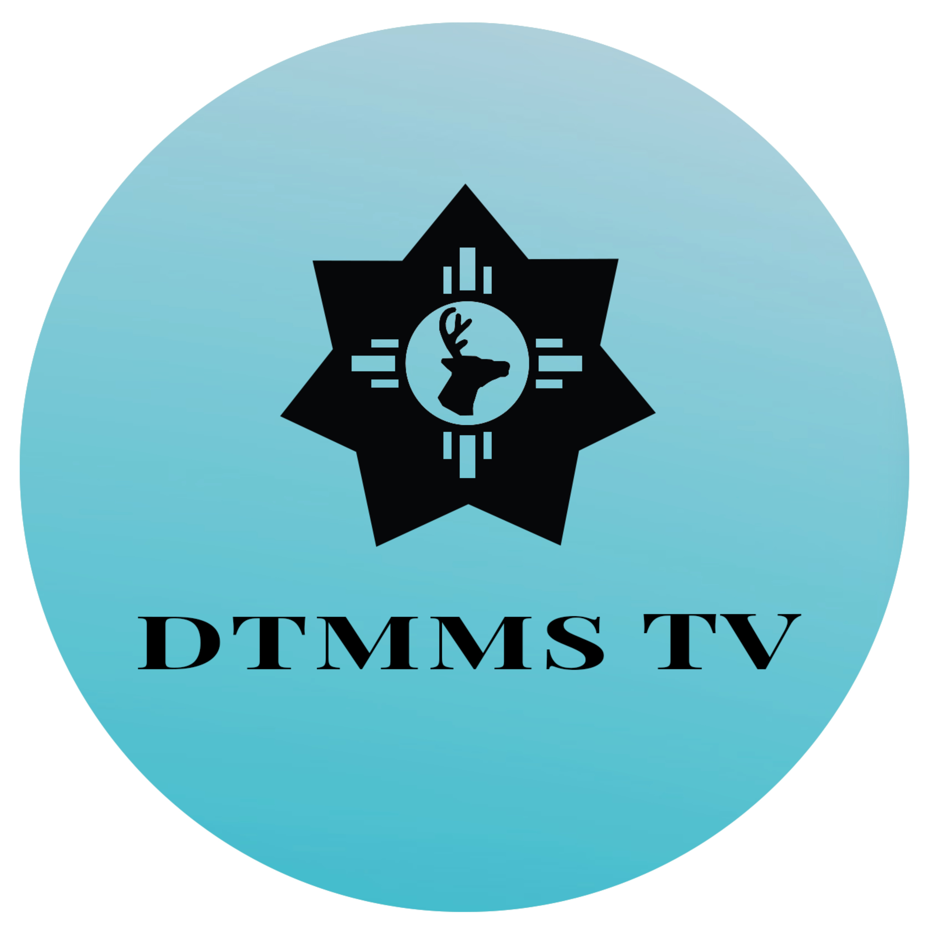 DTMMS.TV