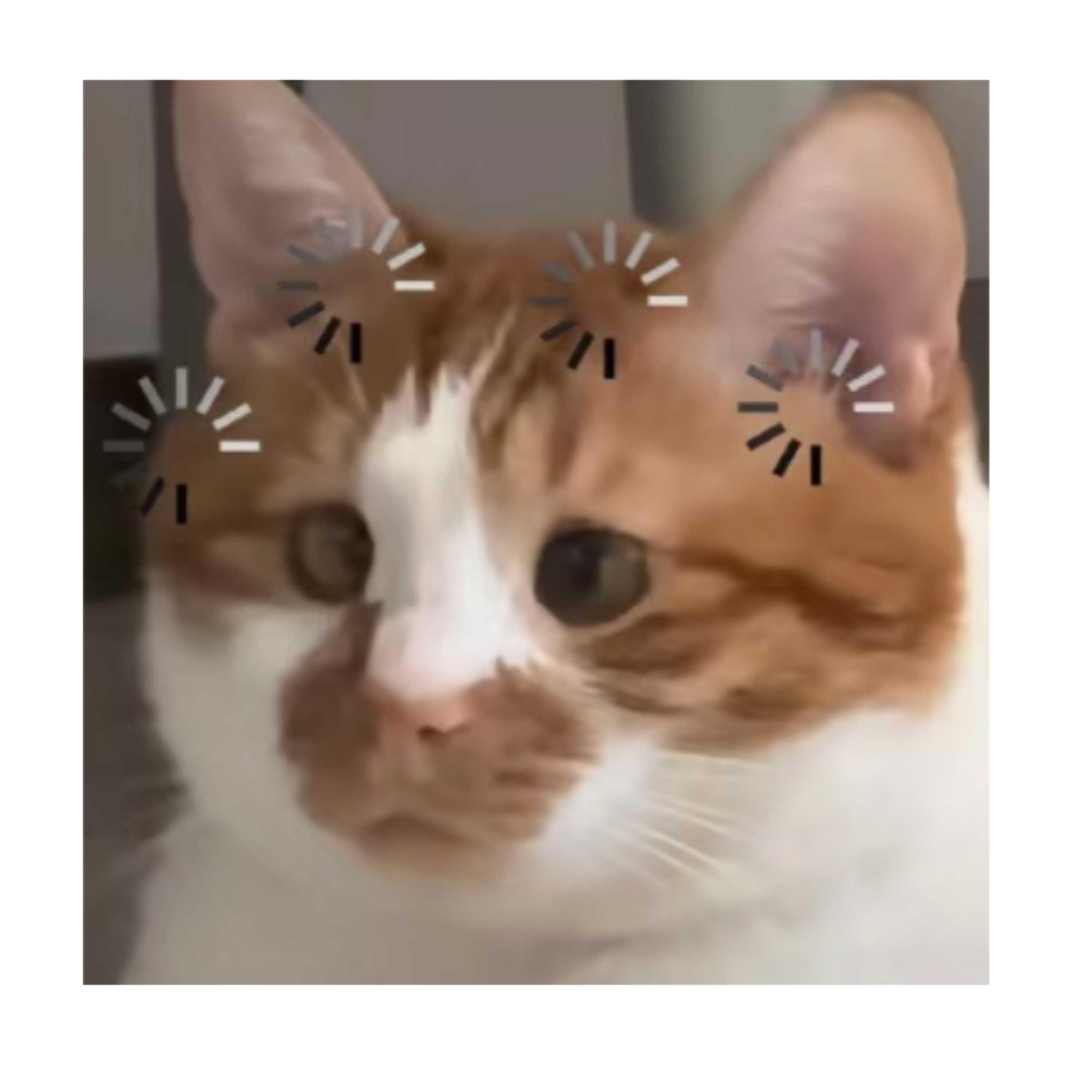 漫读