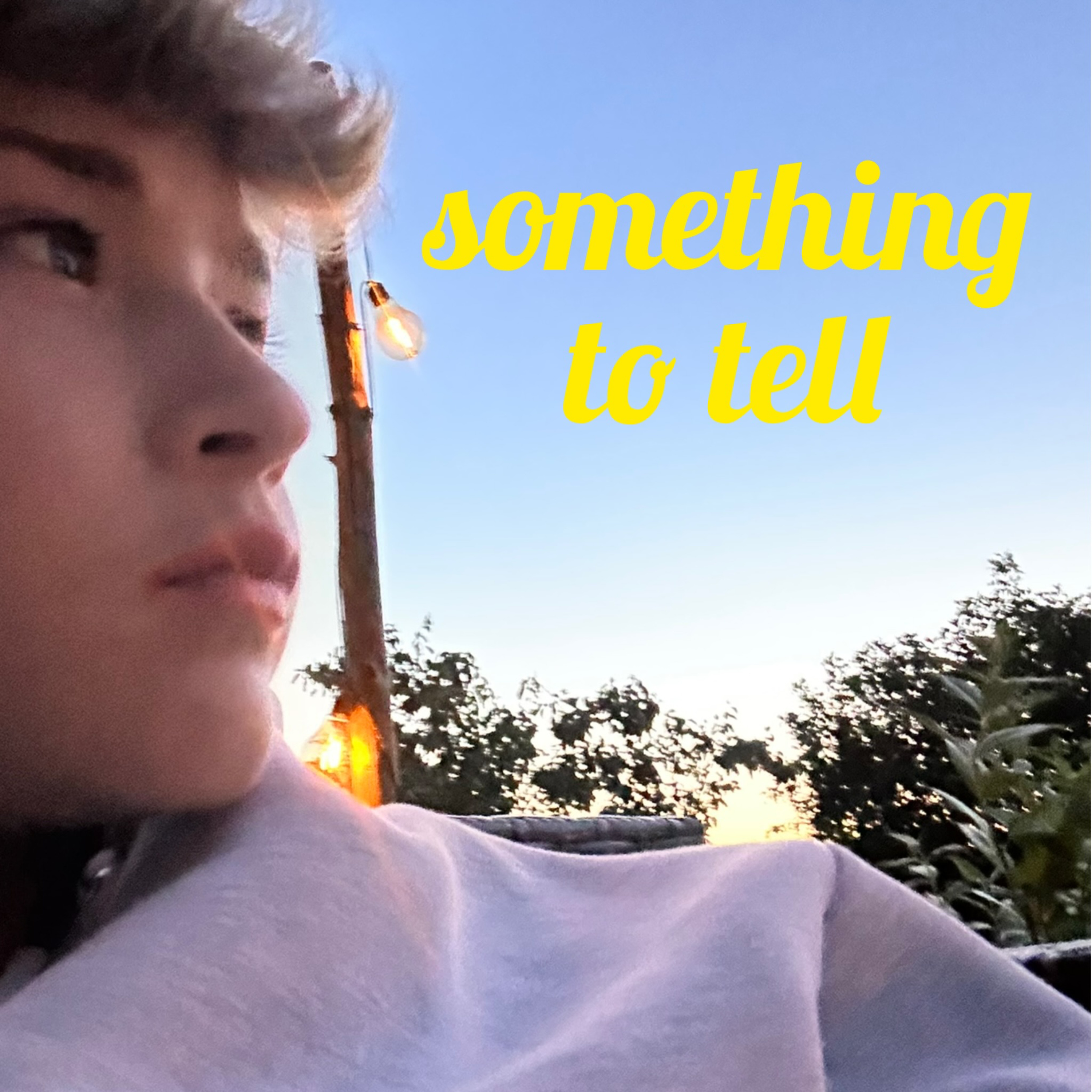 something to tell podcast artwork