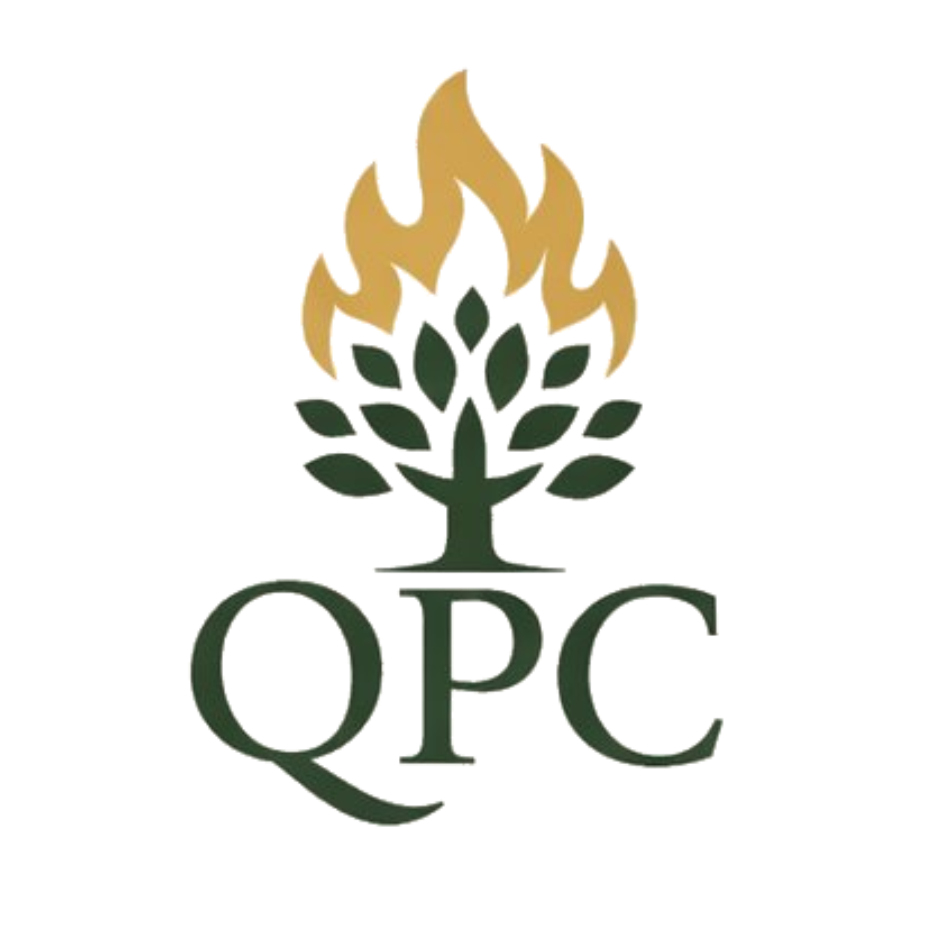 Queanbeyan Presbyterian Podcast podcast artwork
