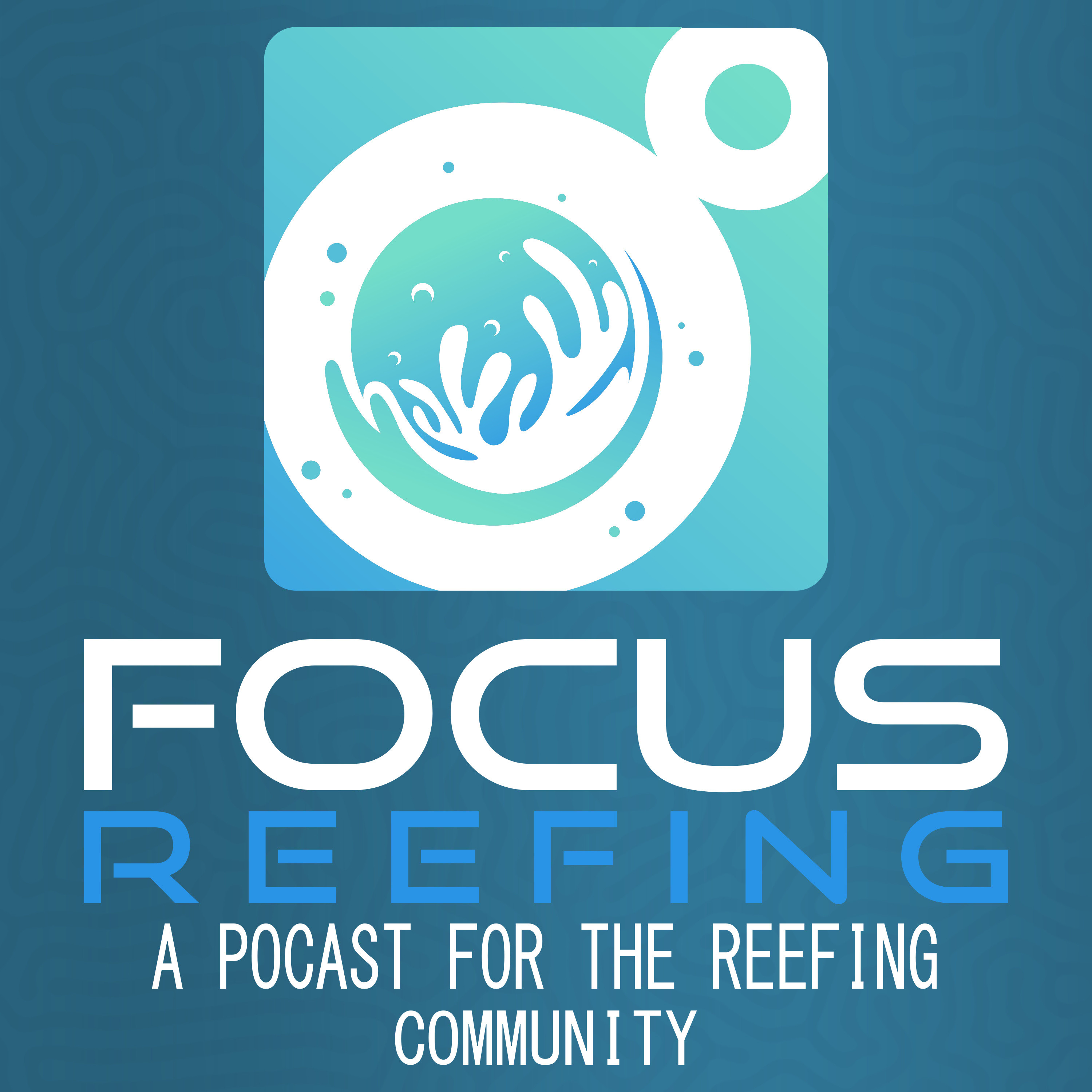 210G Peninsula Reef Tour | SPS, Automation, Flow, and Lessons Learned with JT (@Hardy_reef) 