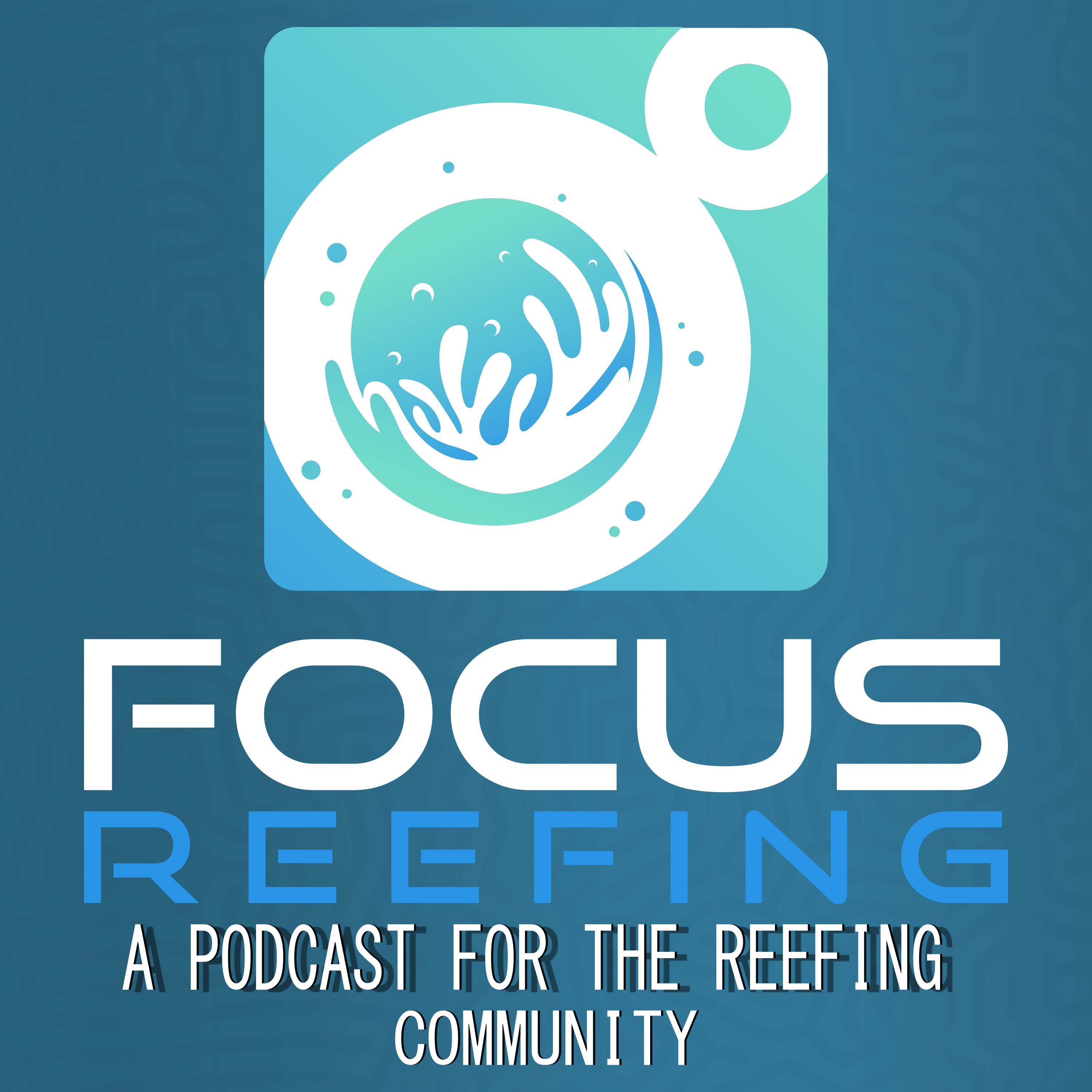 Focus Reefing