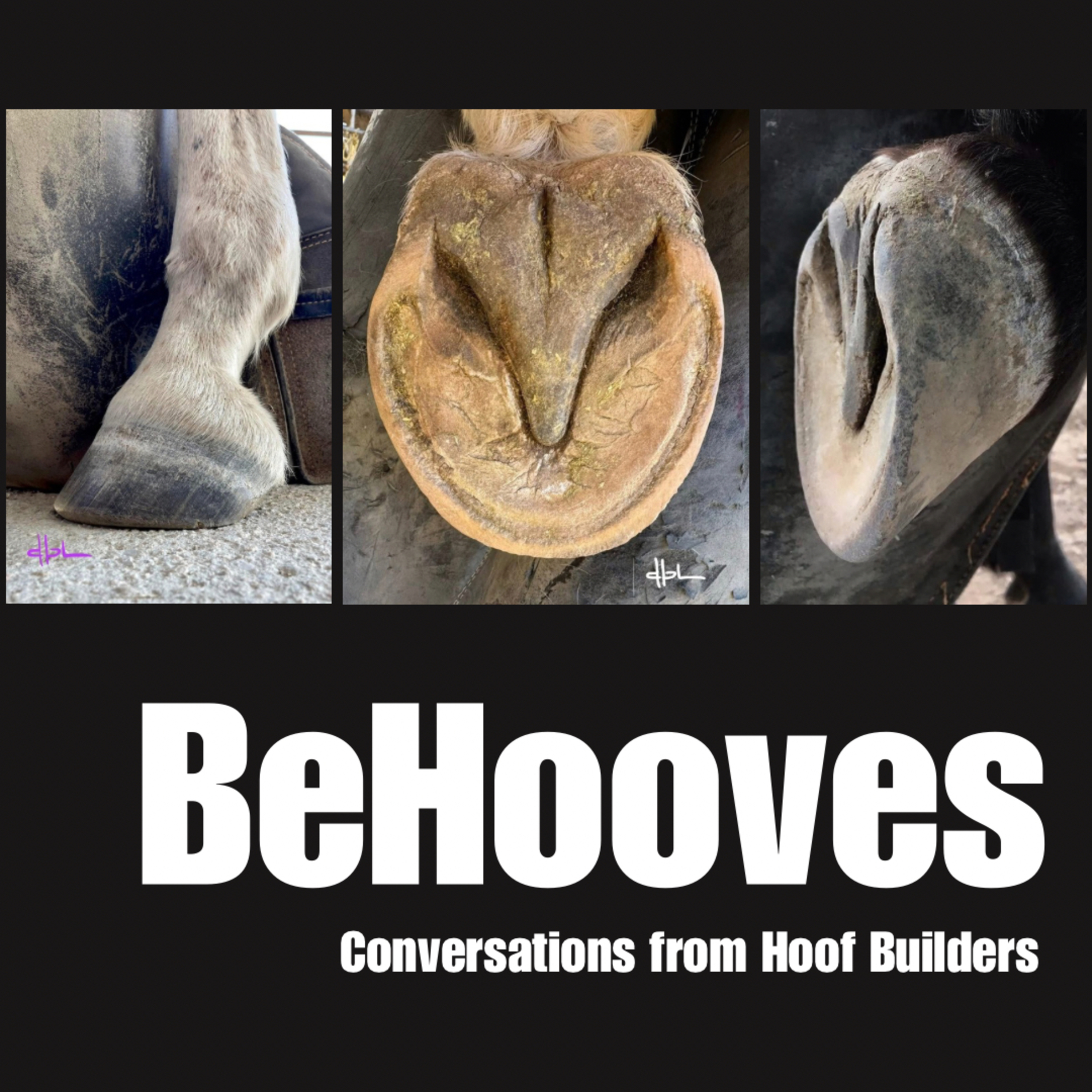 BeHooves