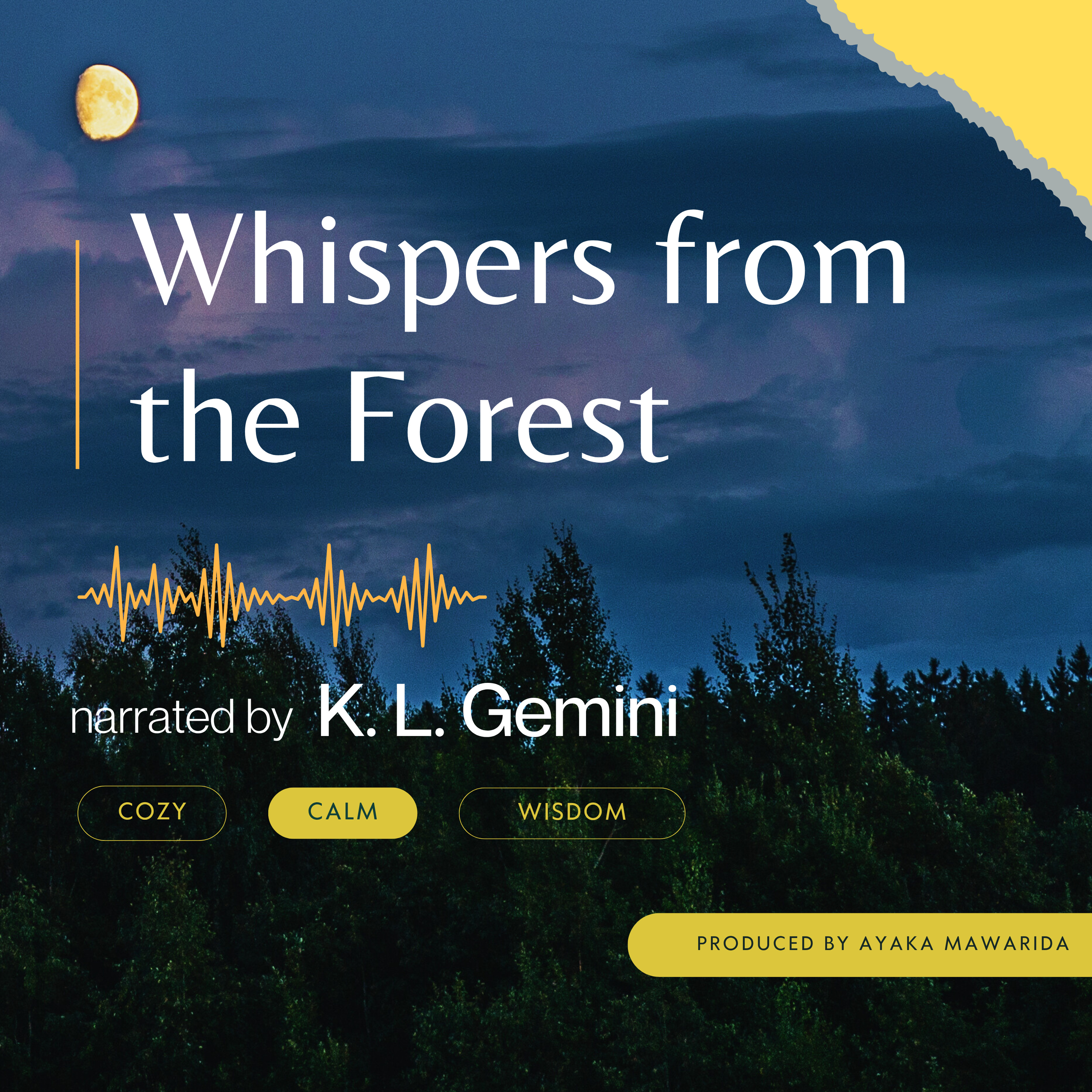 Whispers from the Forest ~ Sleep Stories with Nature and Lo-fi Chill podcast artwork