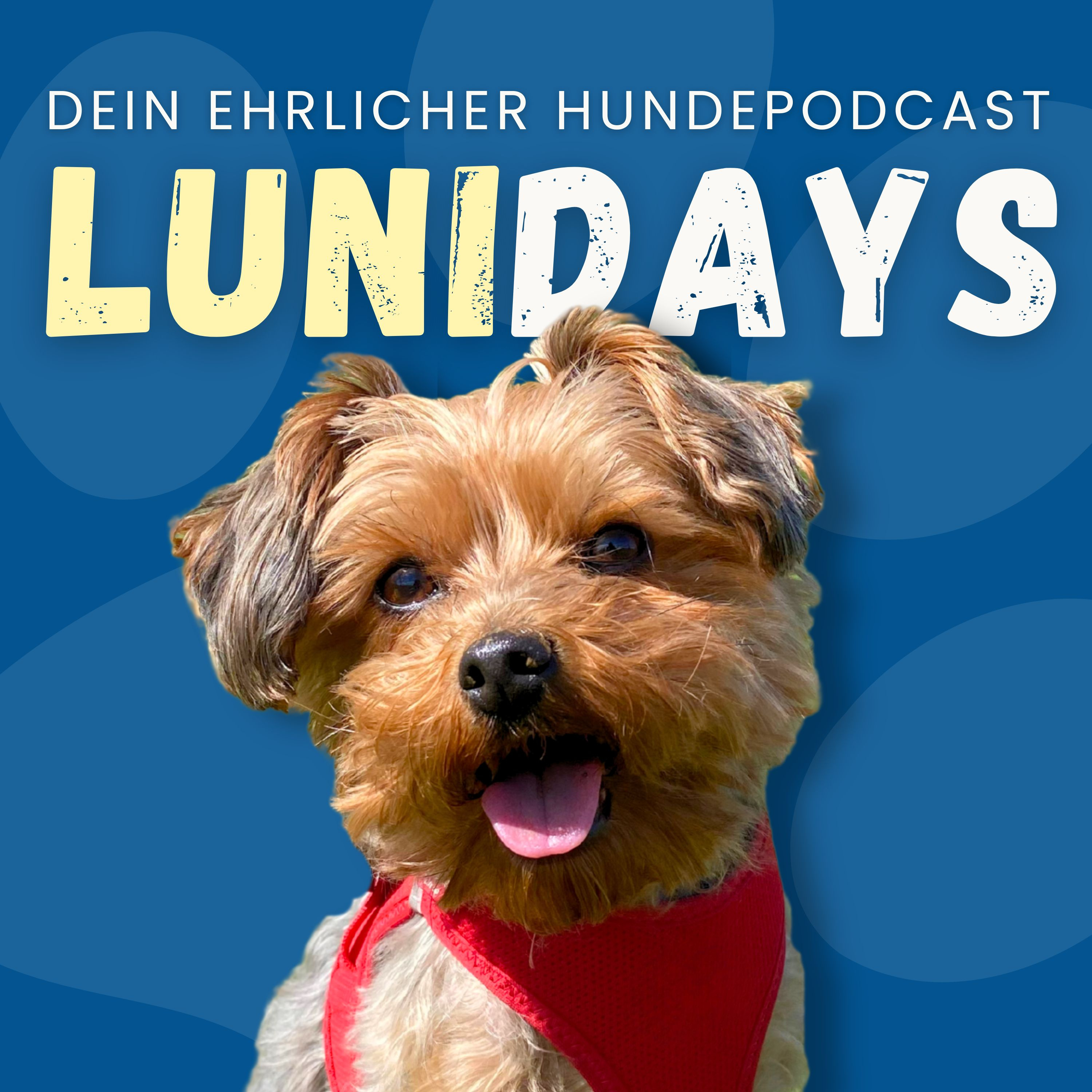 Lunidays - Dein ehrlicher Hundepodcast podcast artwork