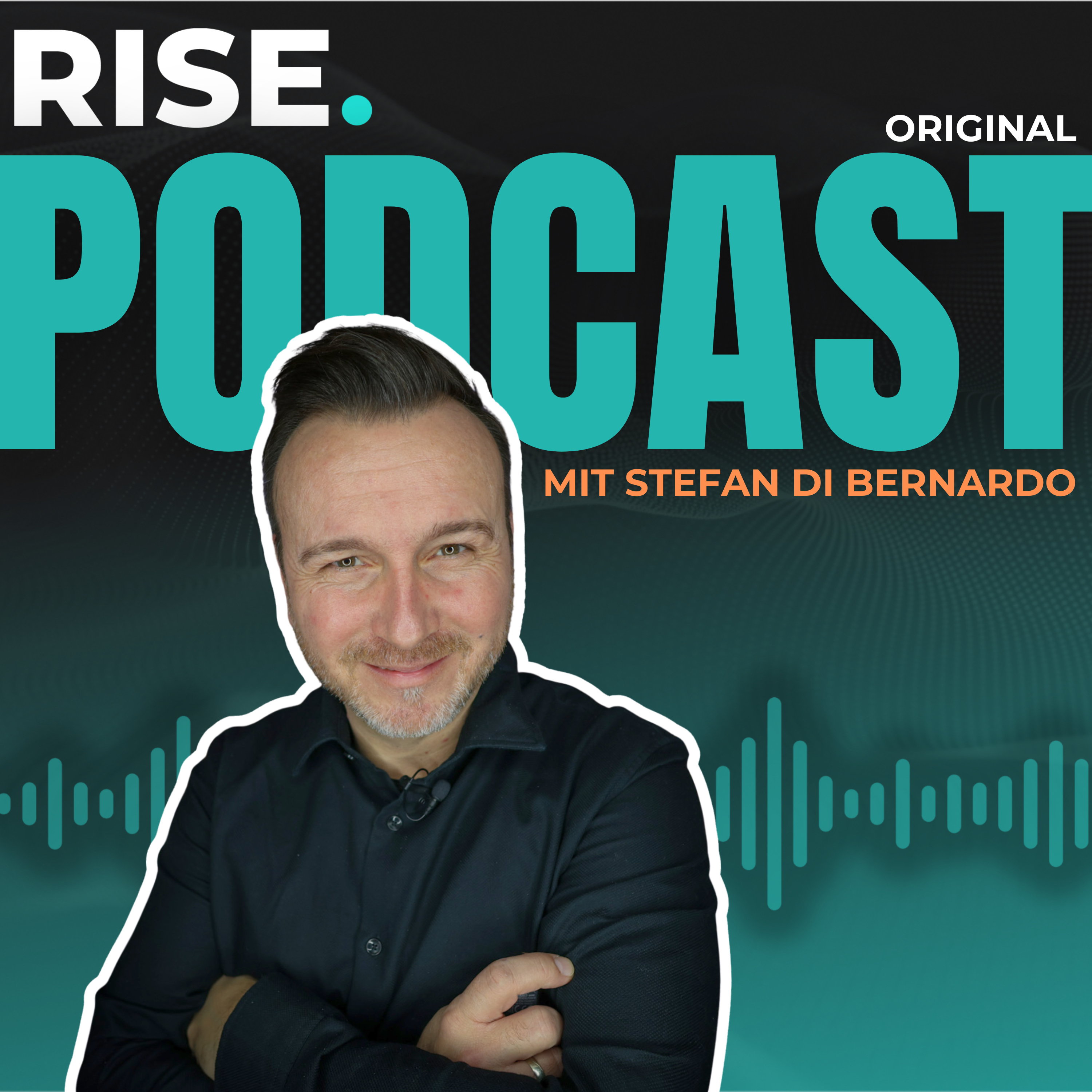 RISE Radio – Der Artist Growth Podcast podcast artwork